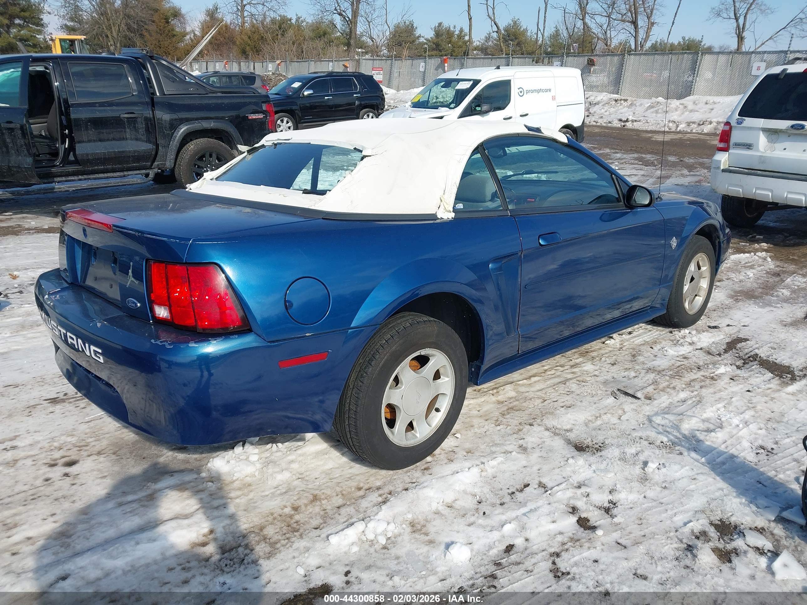 FORD MUSTANG image 4