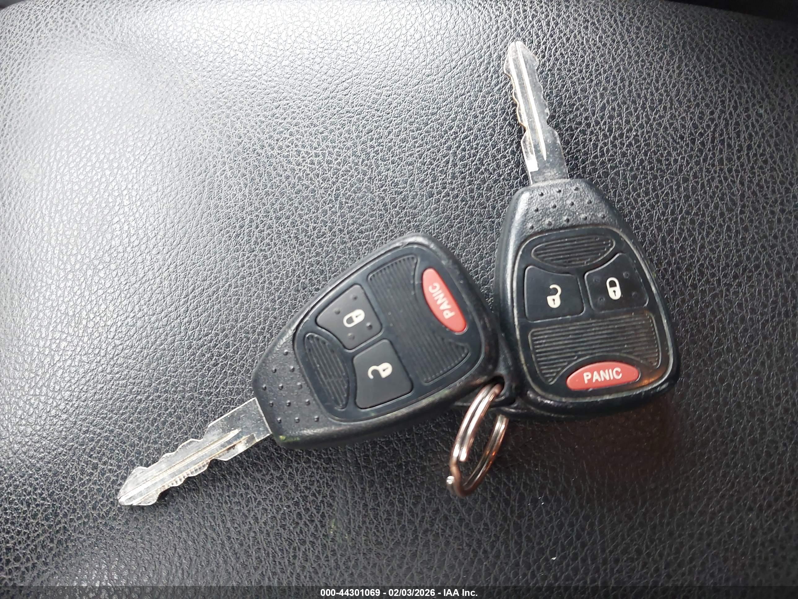 JEEP WRANGLER image 11