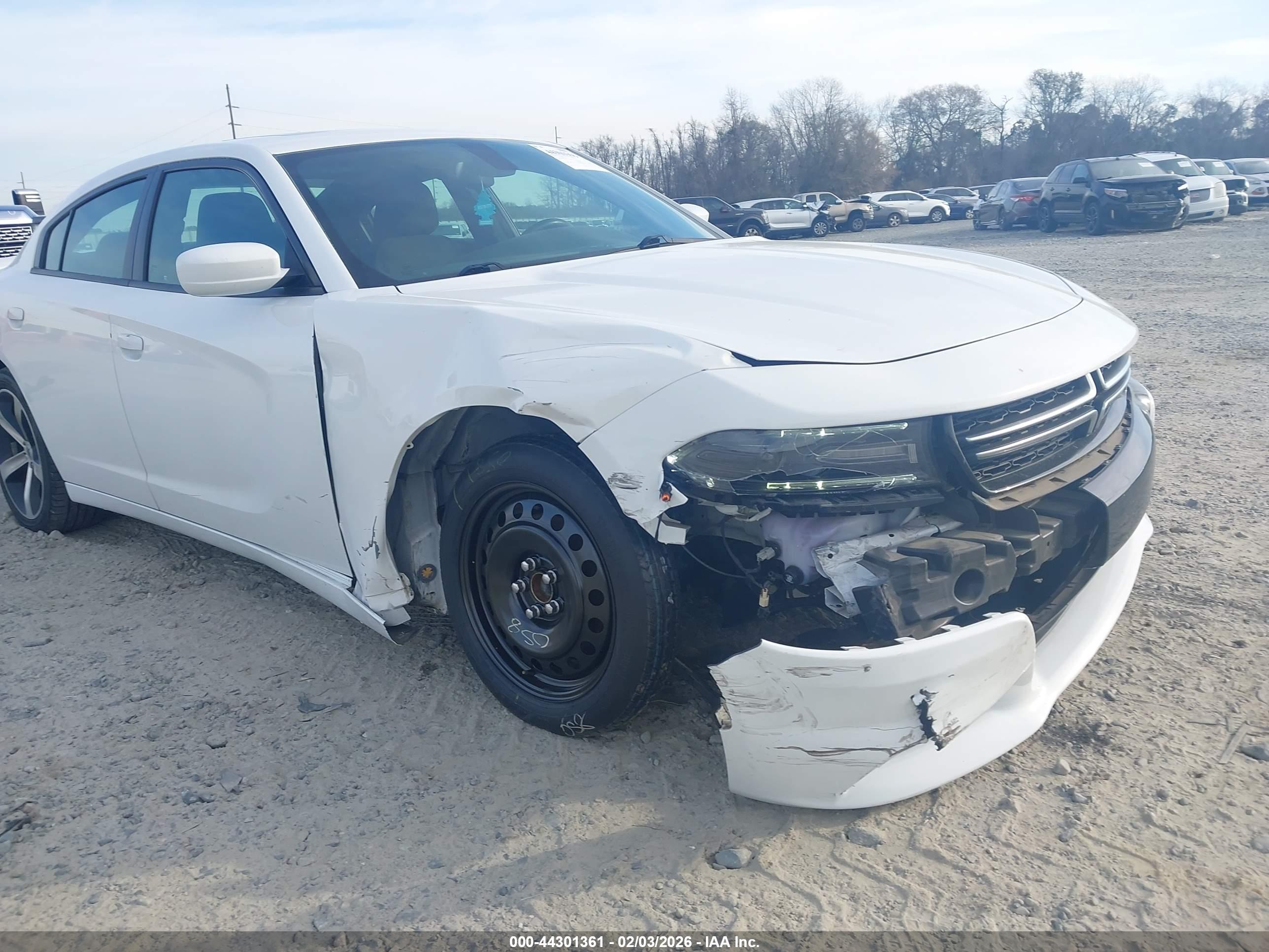 DODGE CHARGER image 6