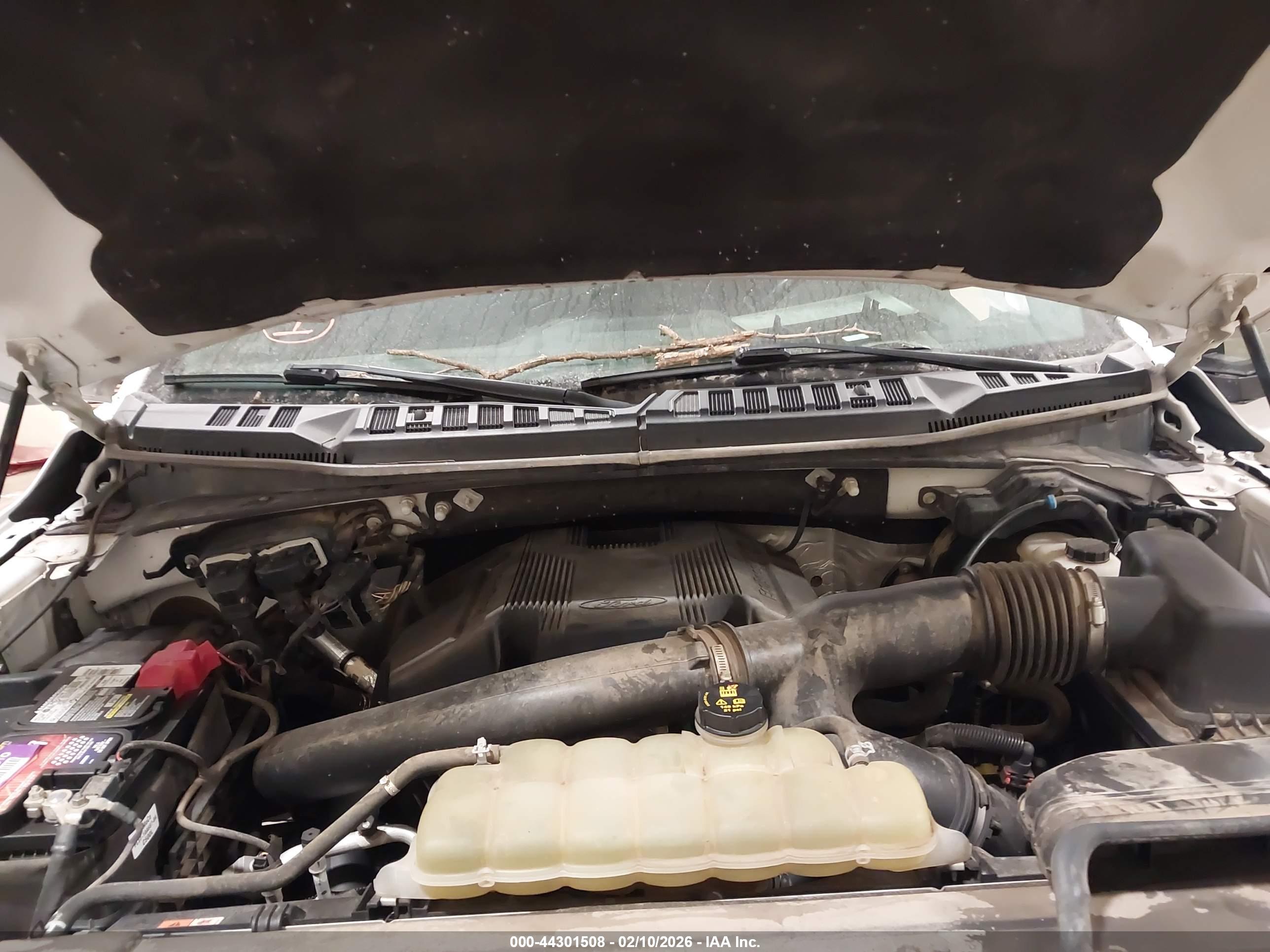 FORD F-150 image 10