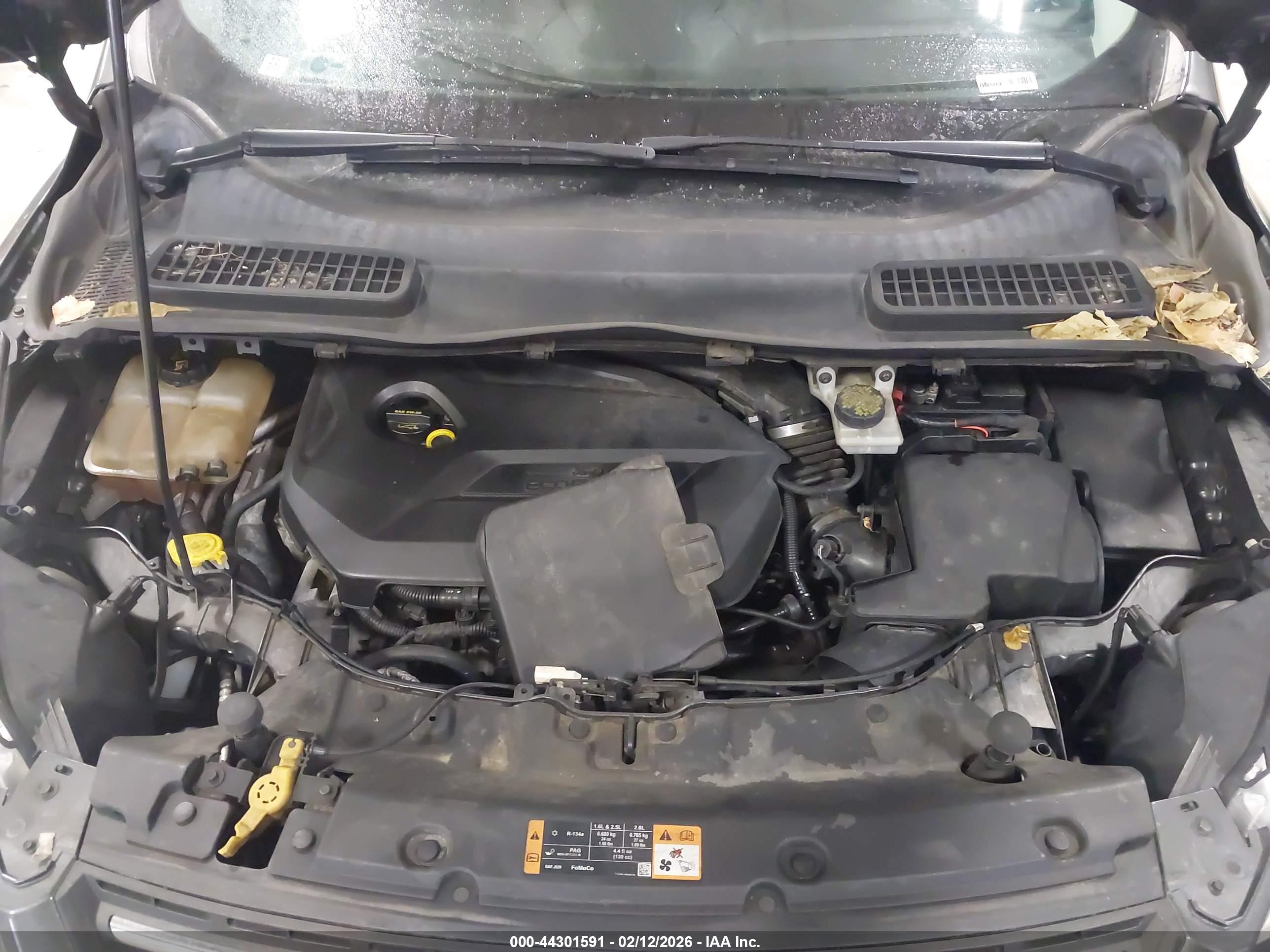 FORD ESCAPE image 10