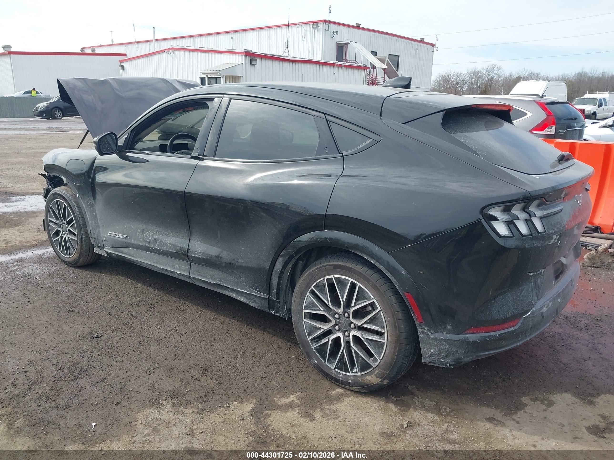 FORD MUSTANG image 3