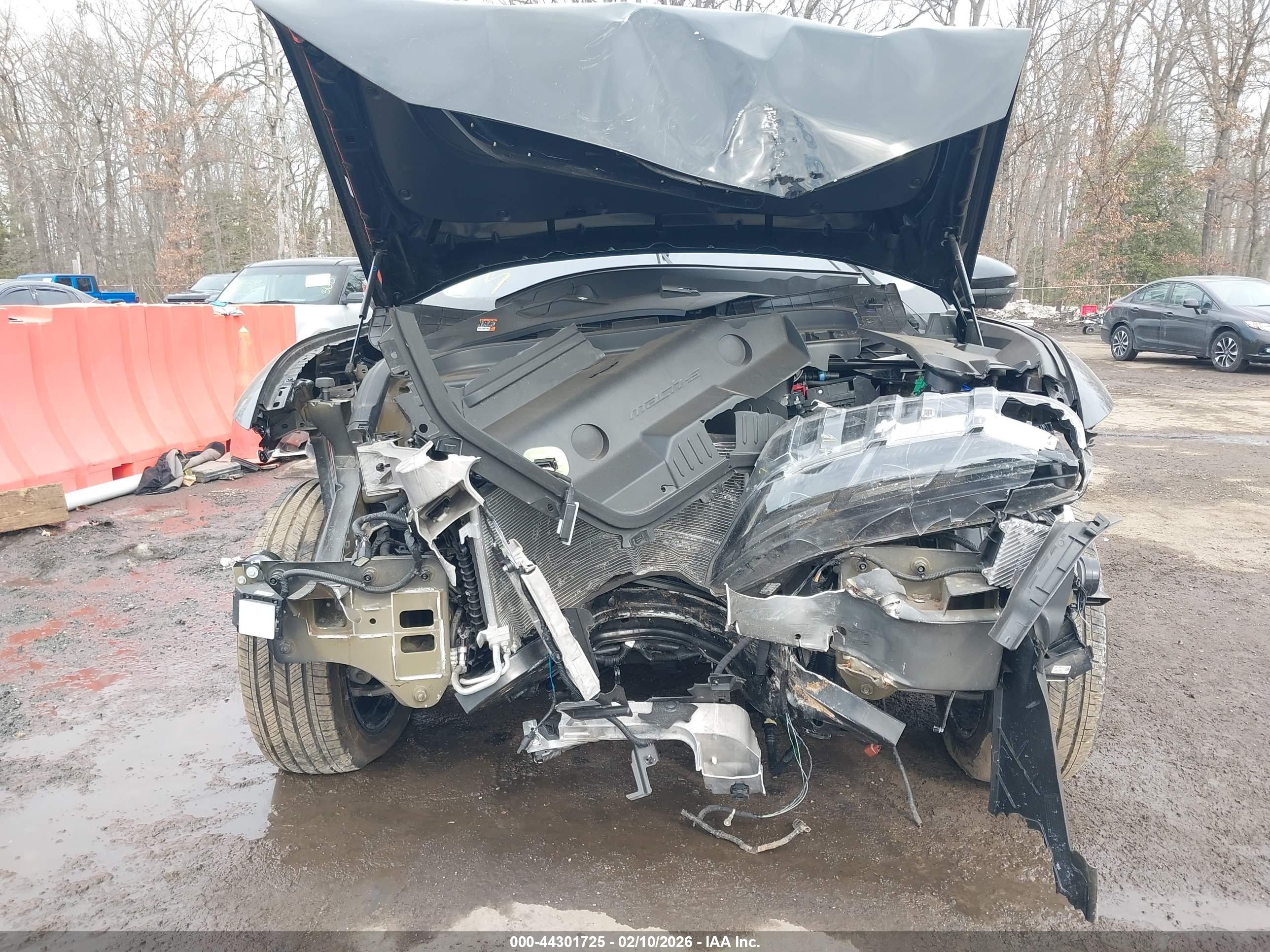 FORD MUSTANG image 6
