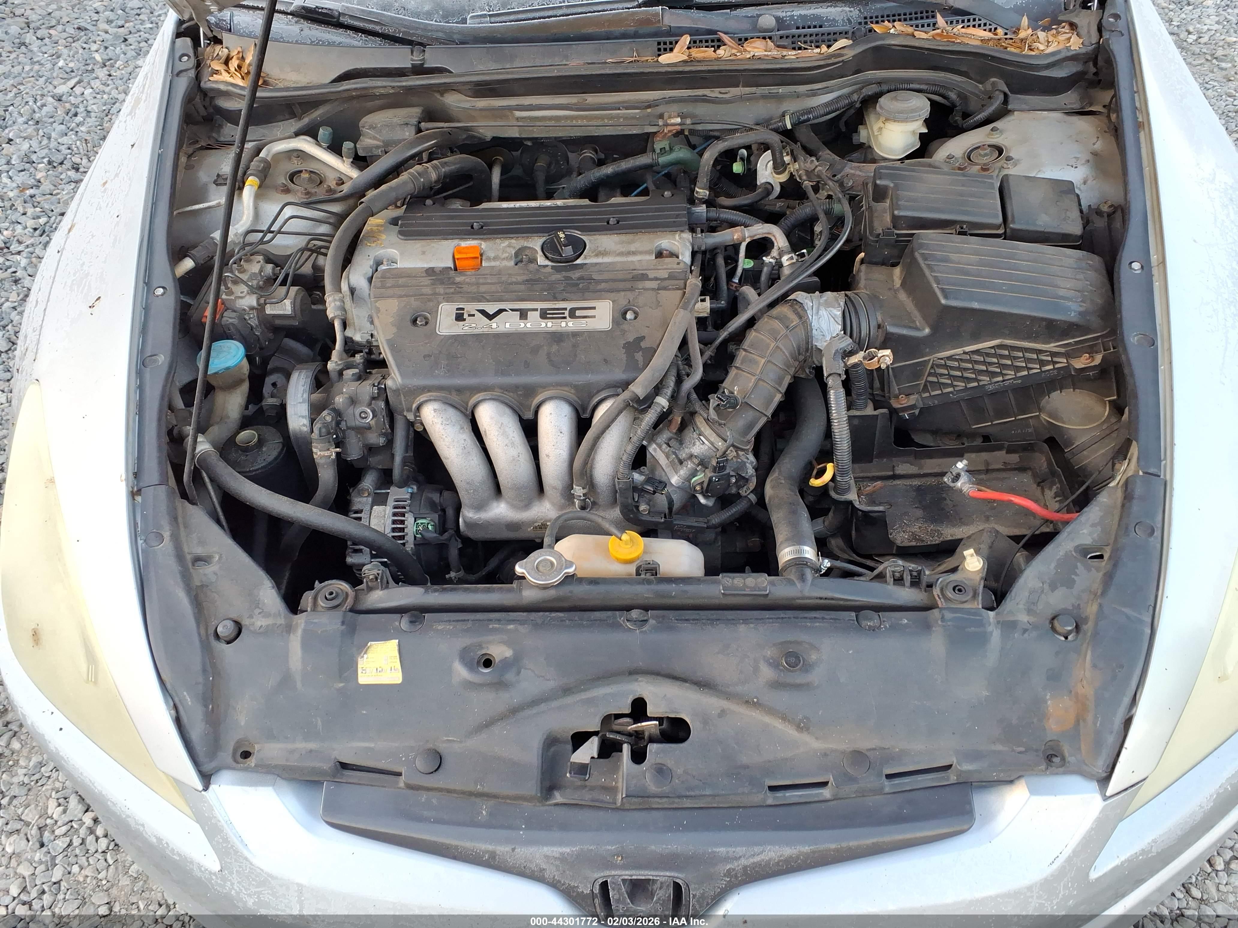 HONDA ACCORD image 10