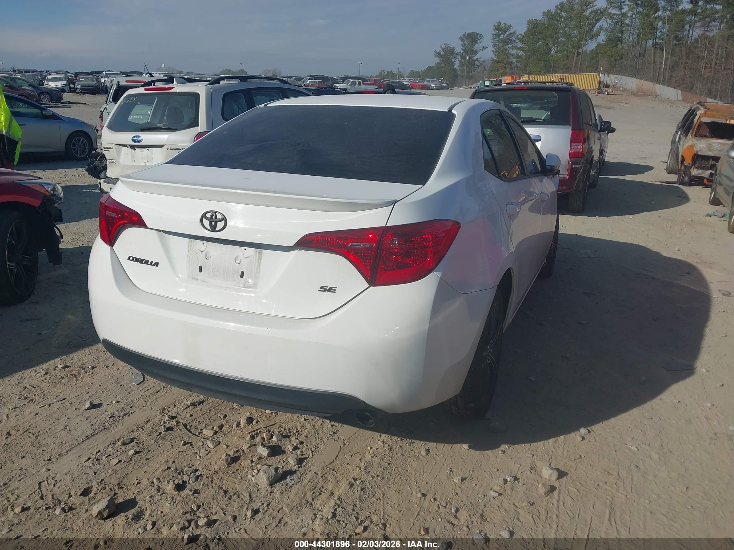 TOYOTA COROLLA image 4