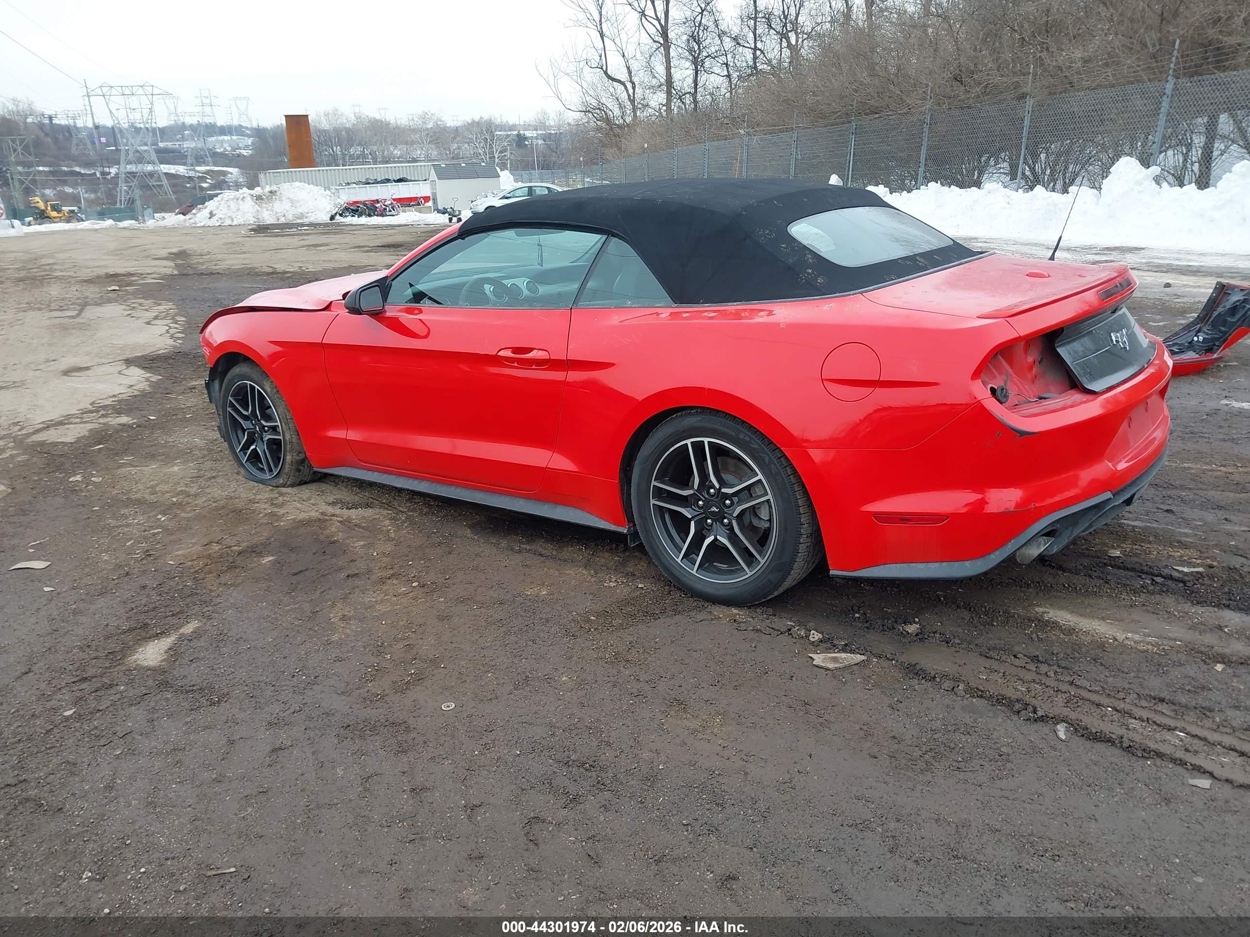 FORD MUSTANG image 3