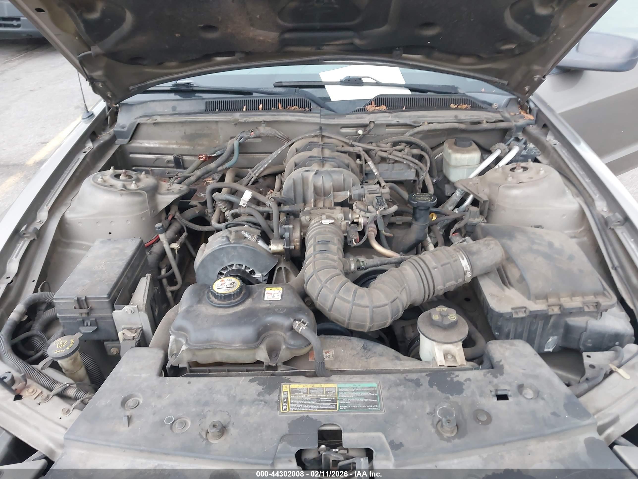 FORD MUSTANG image 10