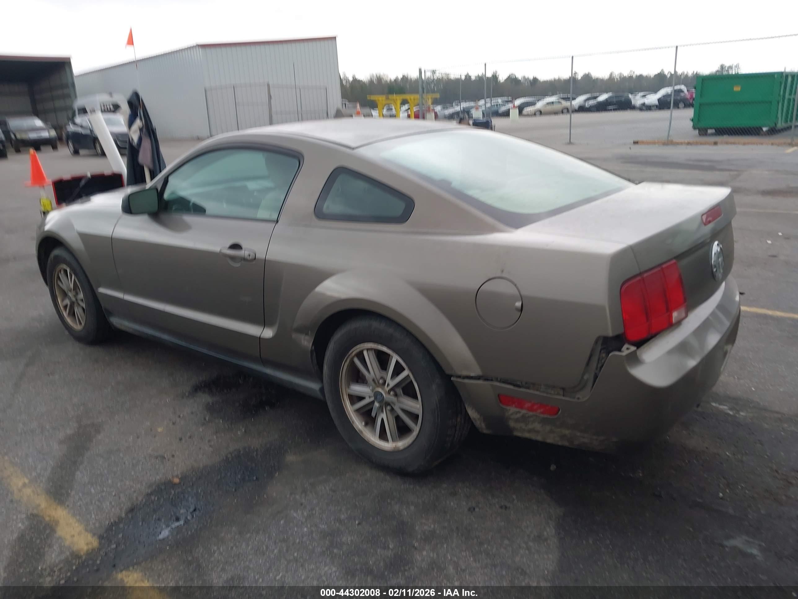 FORD MUSTANG image 3