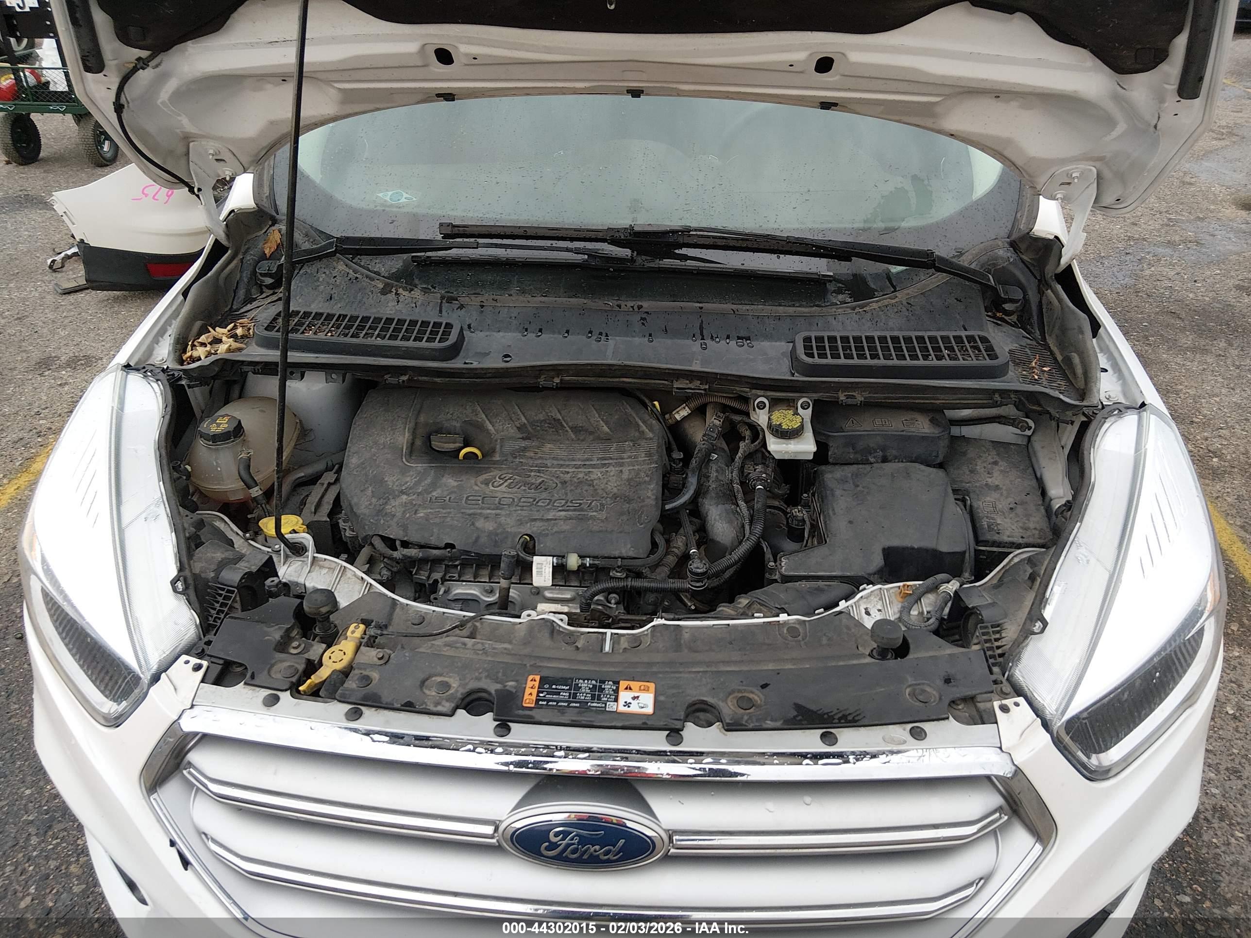 FORD ESCAPE image 10