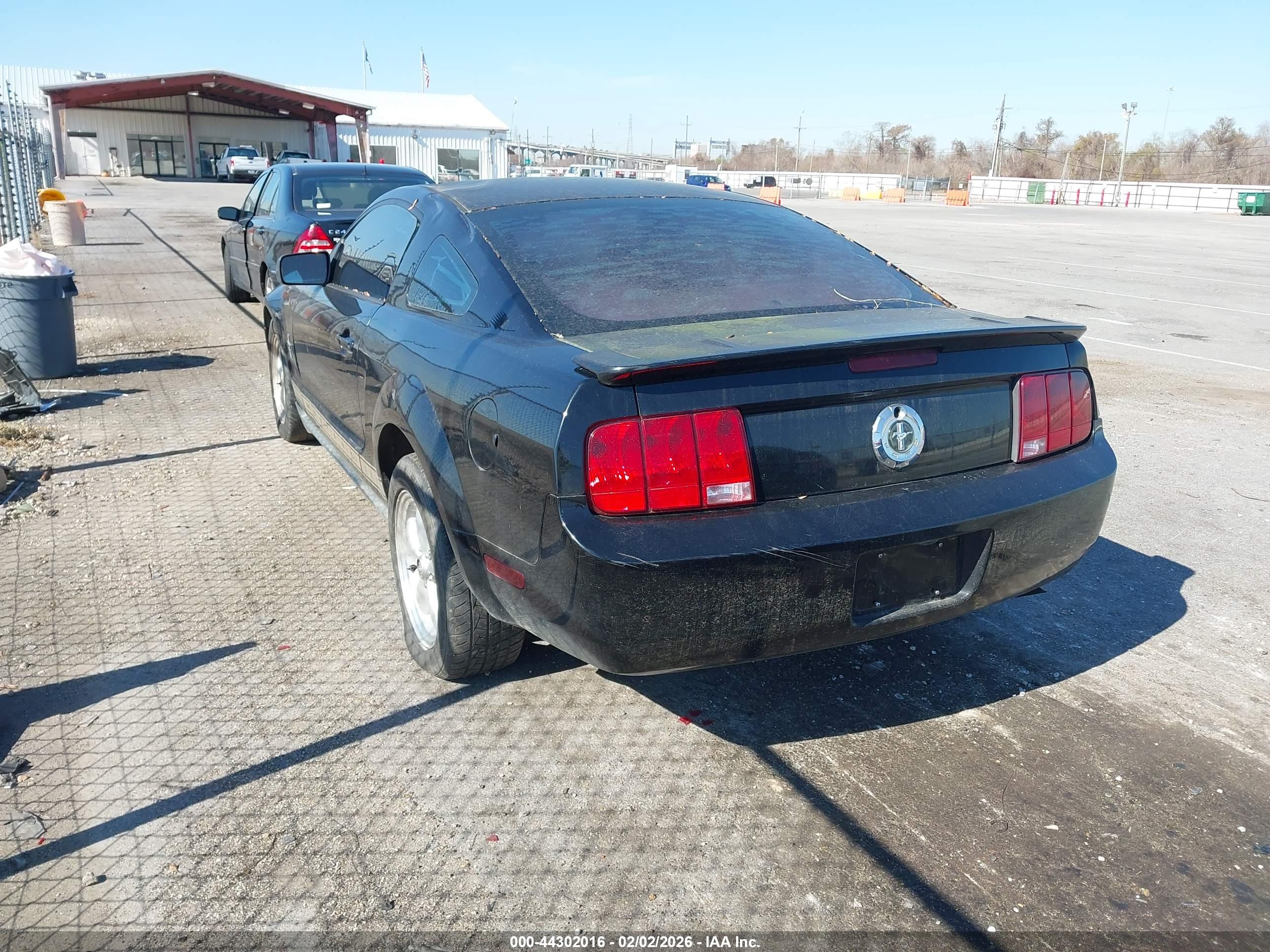 FORD MUSTANG image 3