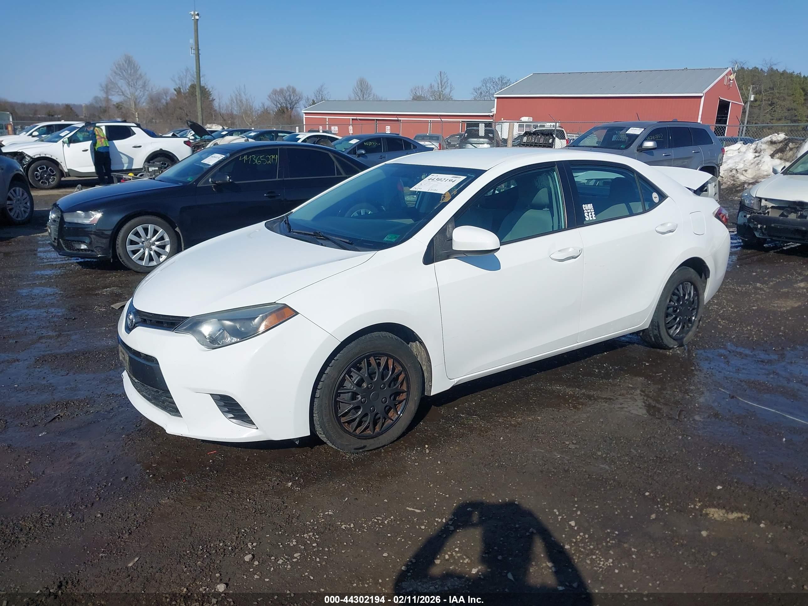 TOYOTA COROLLA image 2
