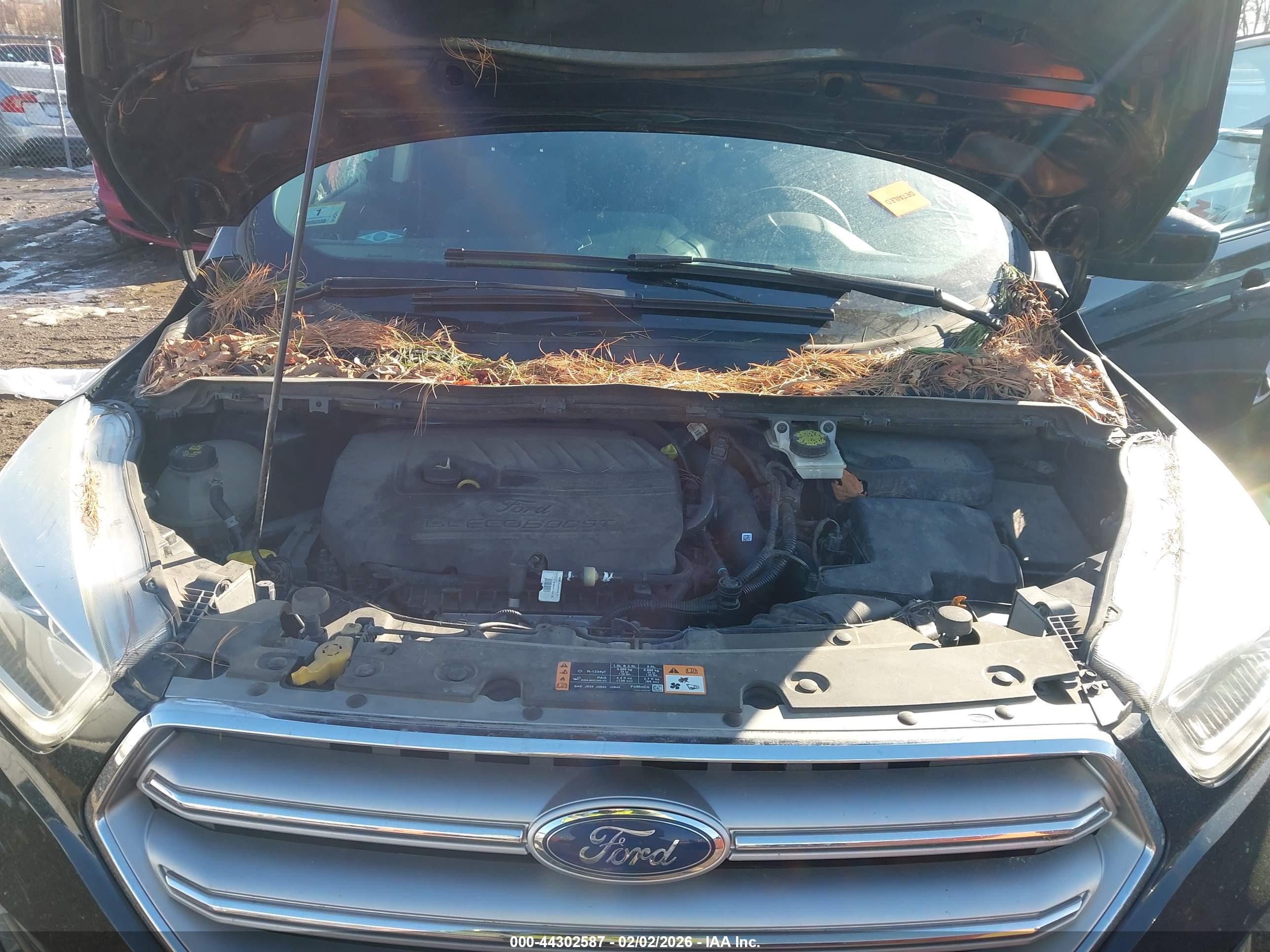 FORD ESCAPE image 10