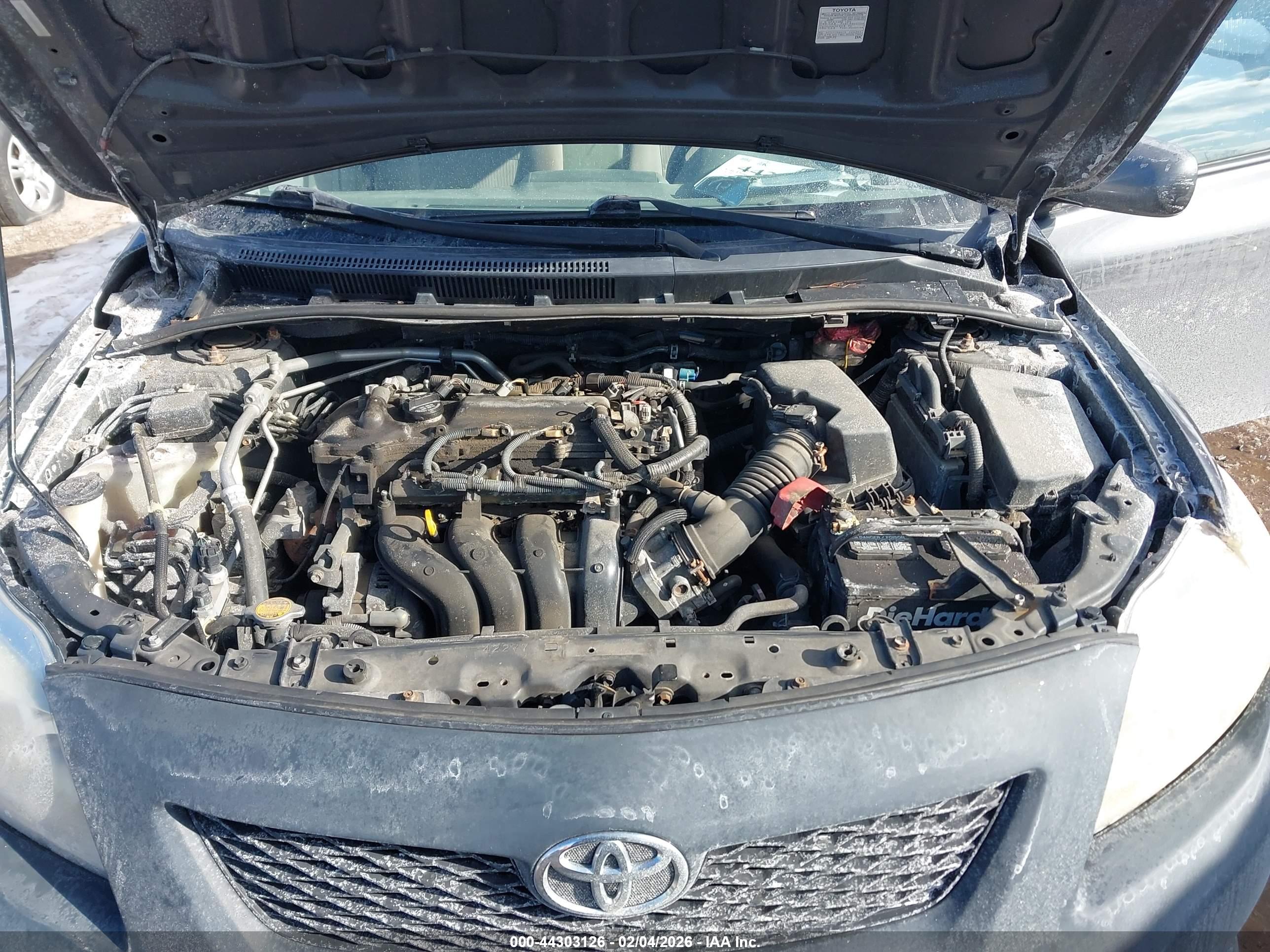 TOYOTA COROLLA image 10