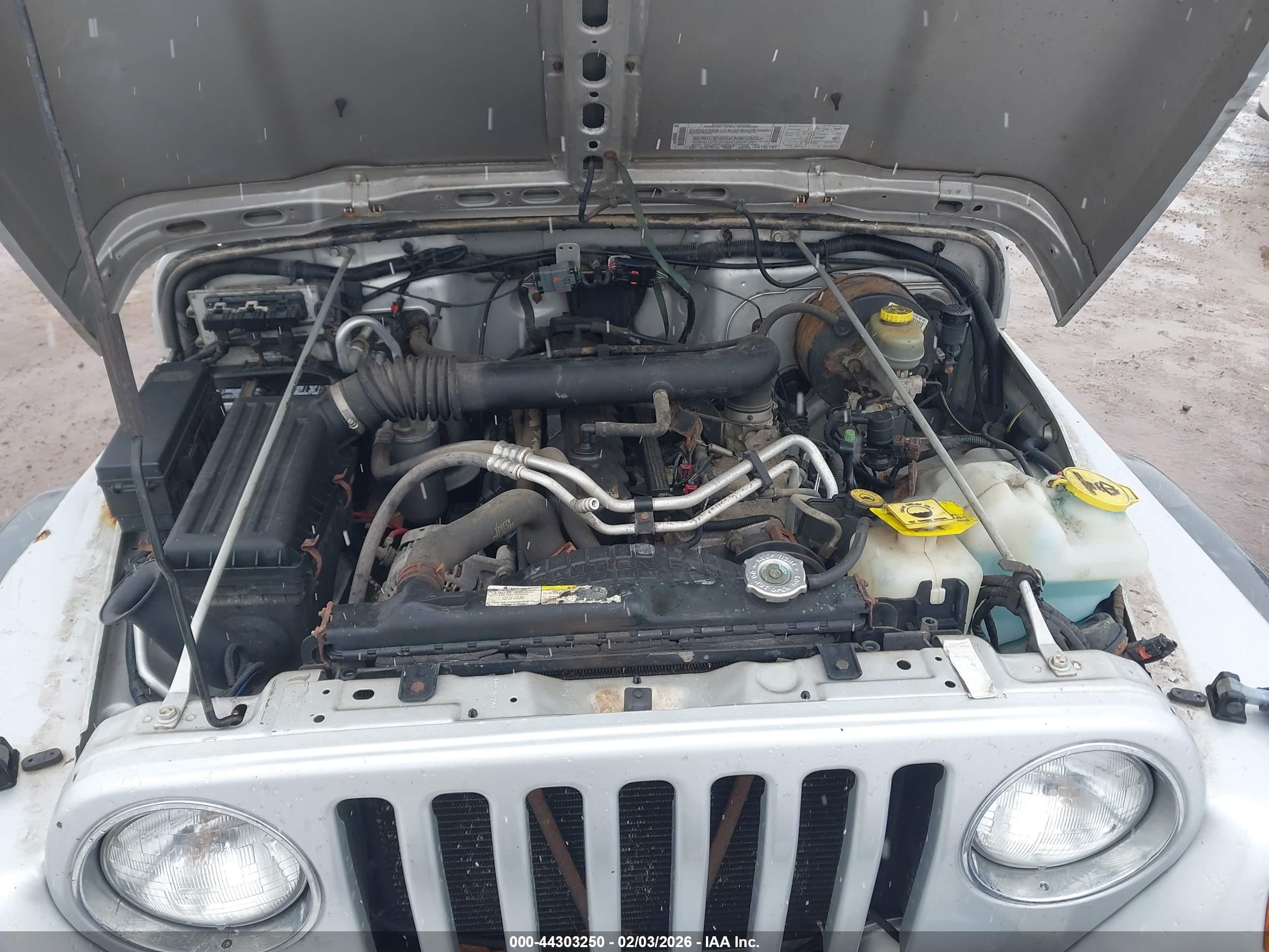 JEEP WRANGLER image 10