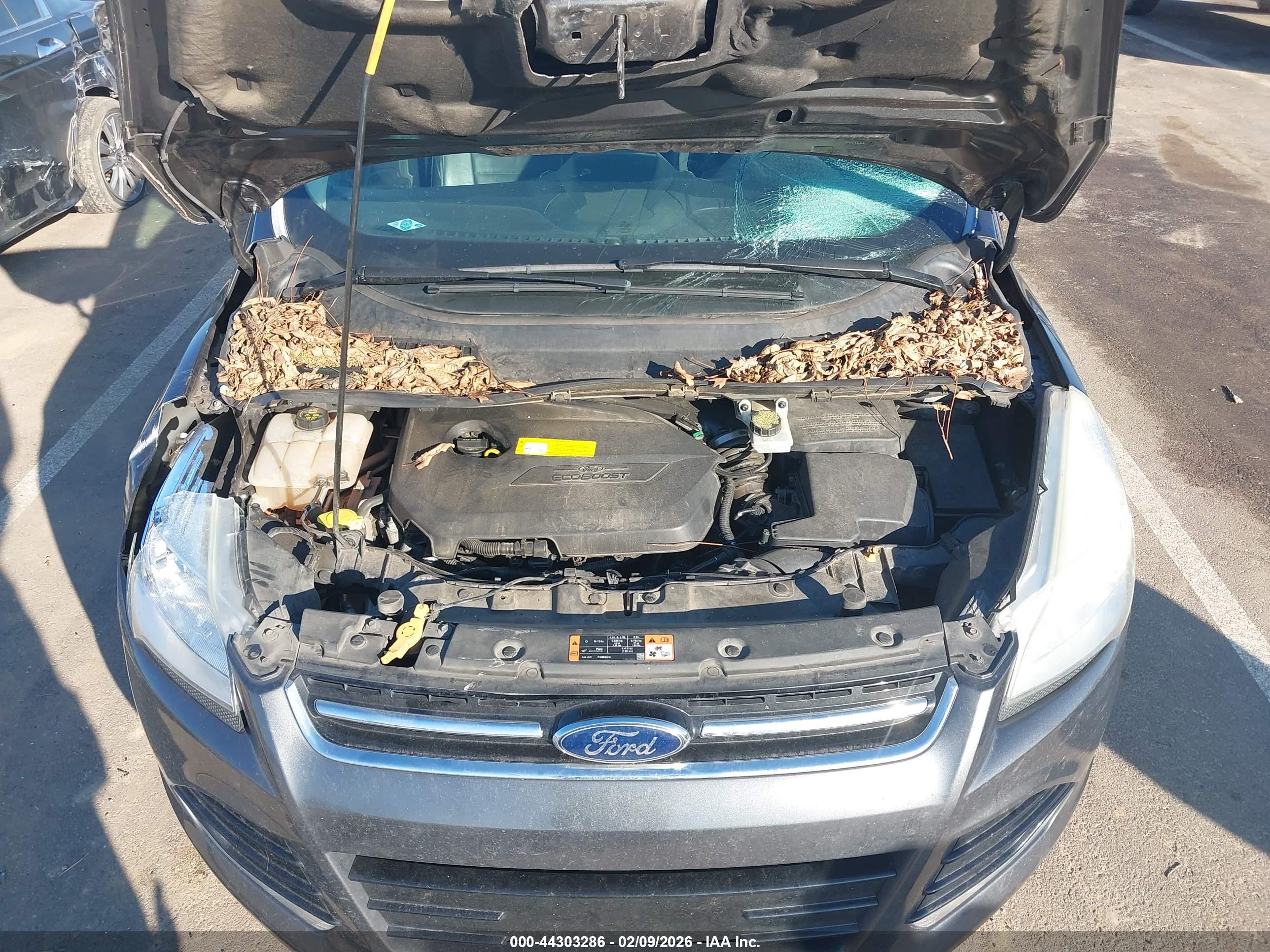 FORD ESCAPE image 10