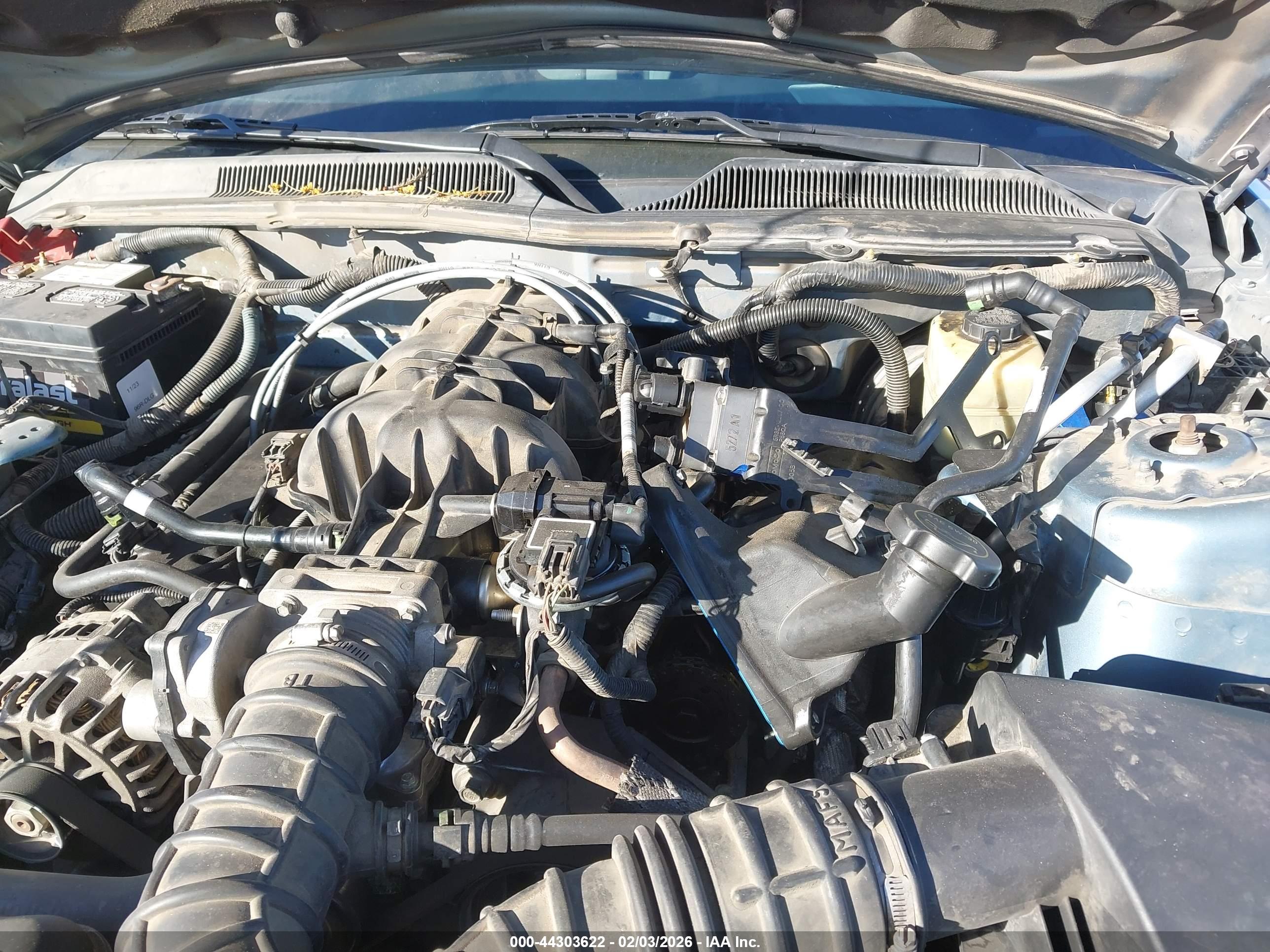 FORD MUSTANG image 6