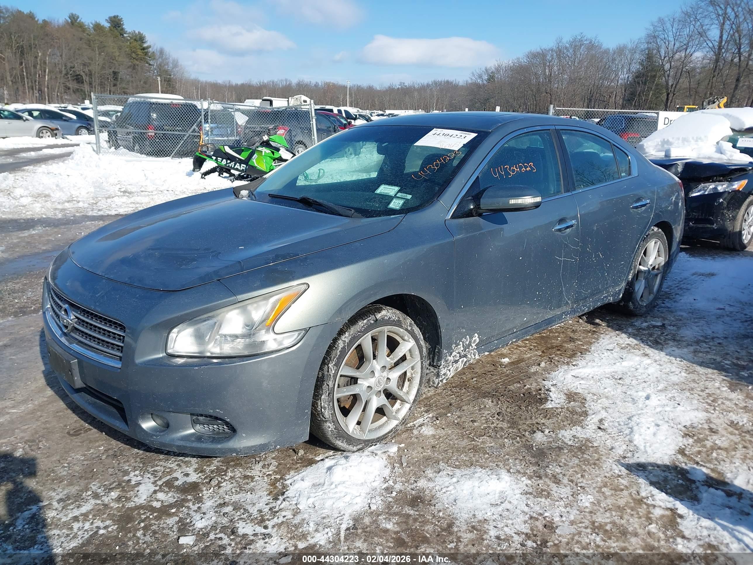 NISSAN MAXIMA image 2