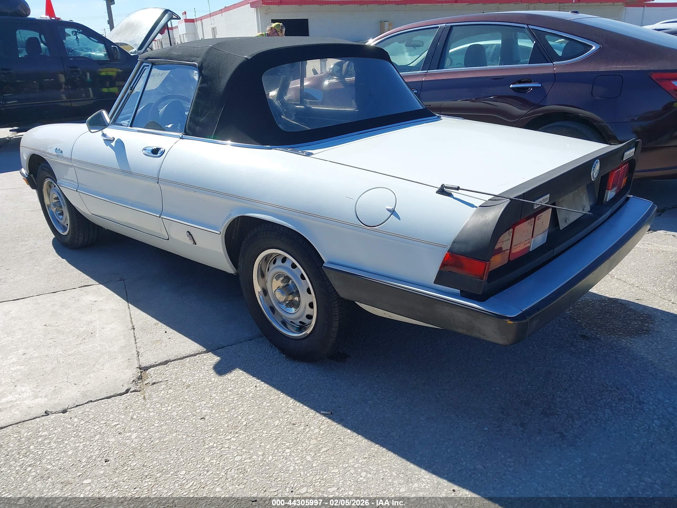 ALFA ROMEO image 3