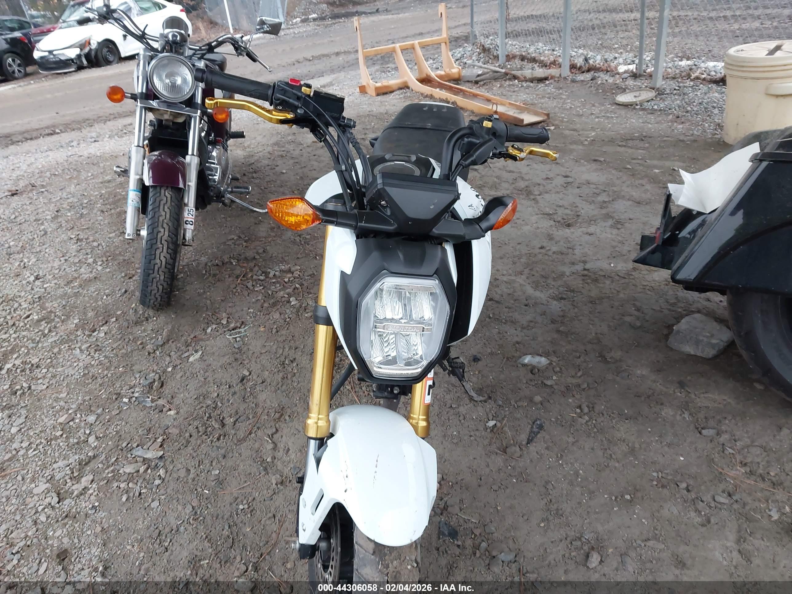HONDA GROM image 5