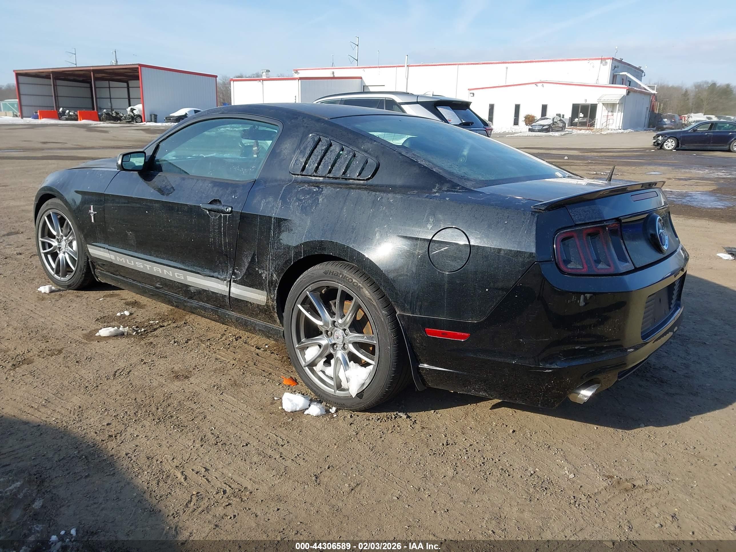 FORD MUSTANG image 3