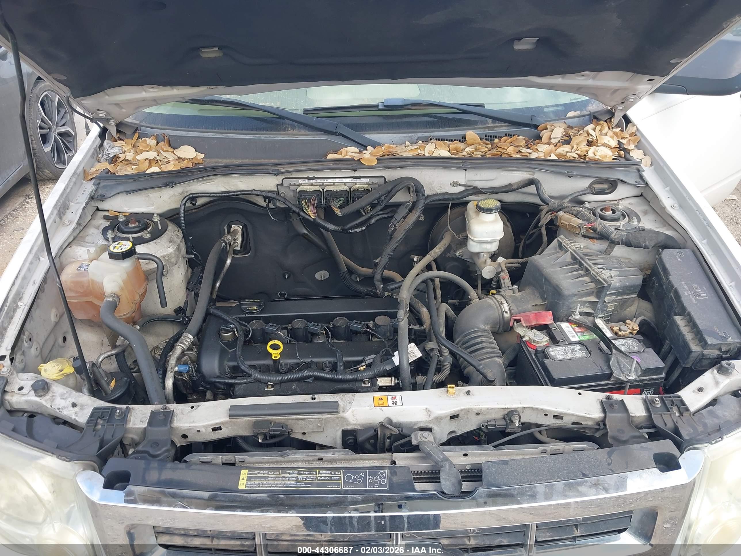 FORD ESCAPE image 10