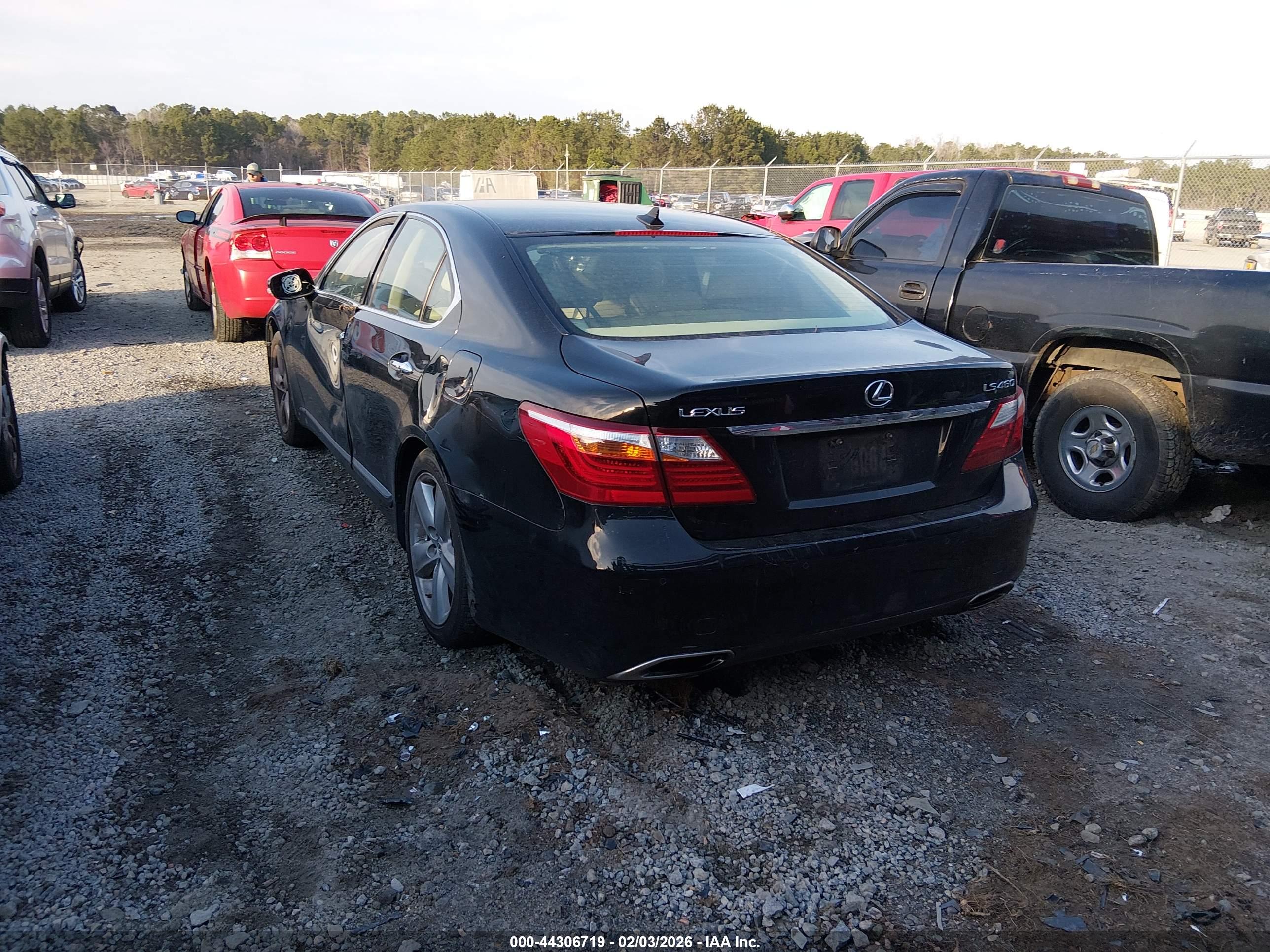 LEXUS LS image 3