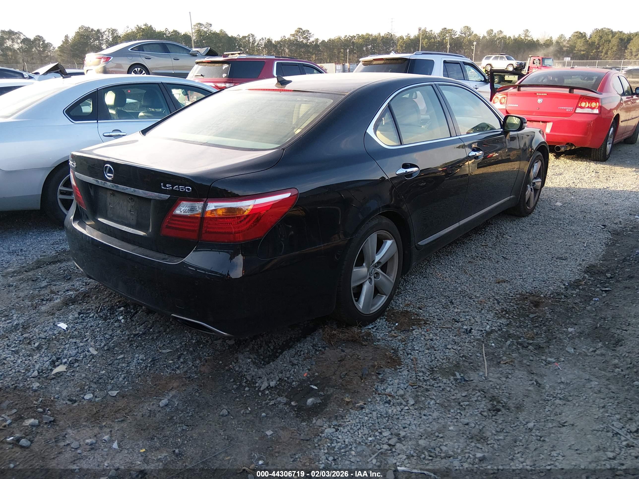 LEXUS LS image 4
