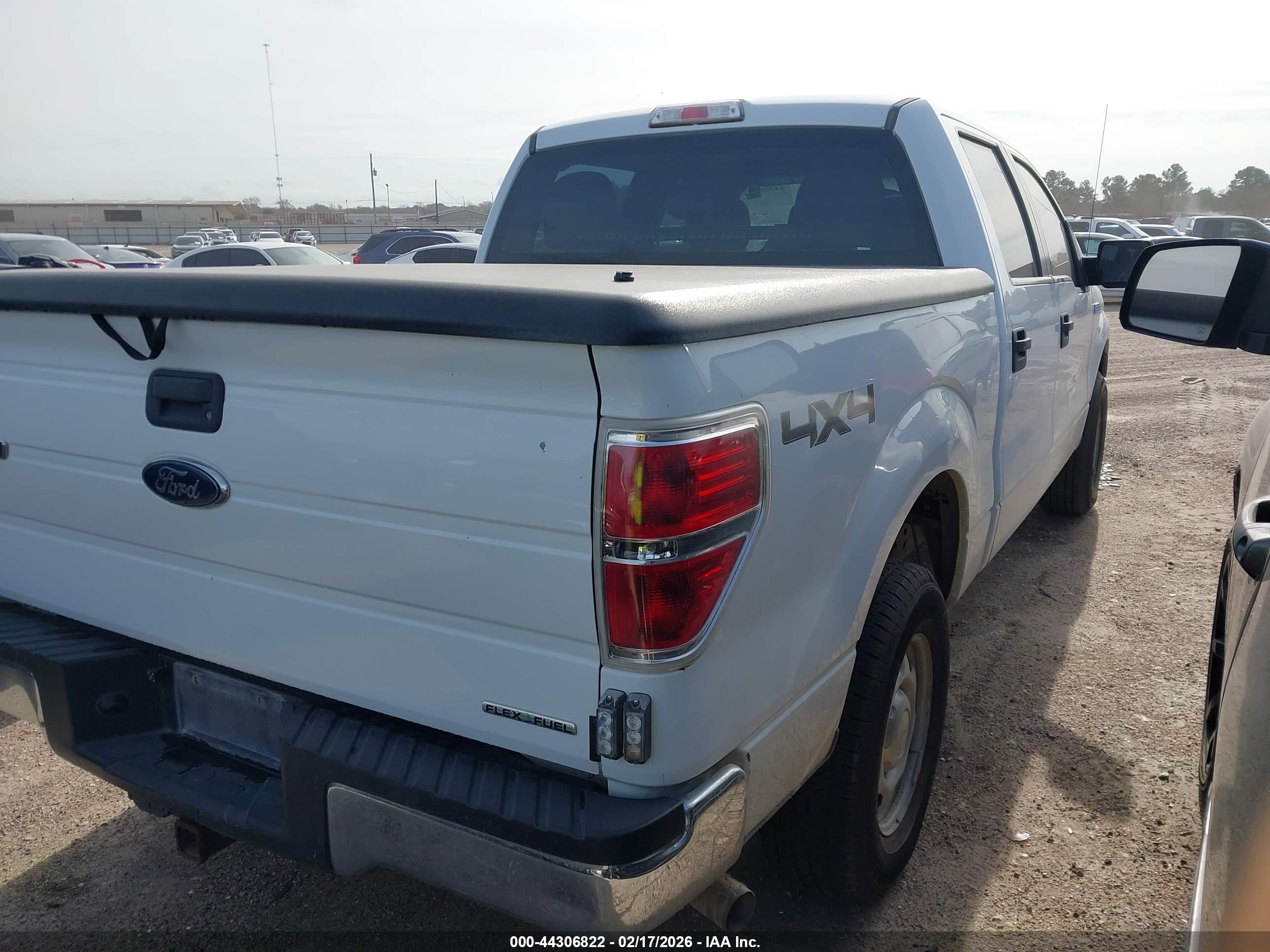 FORD F-150 image 4