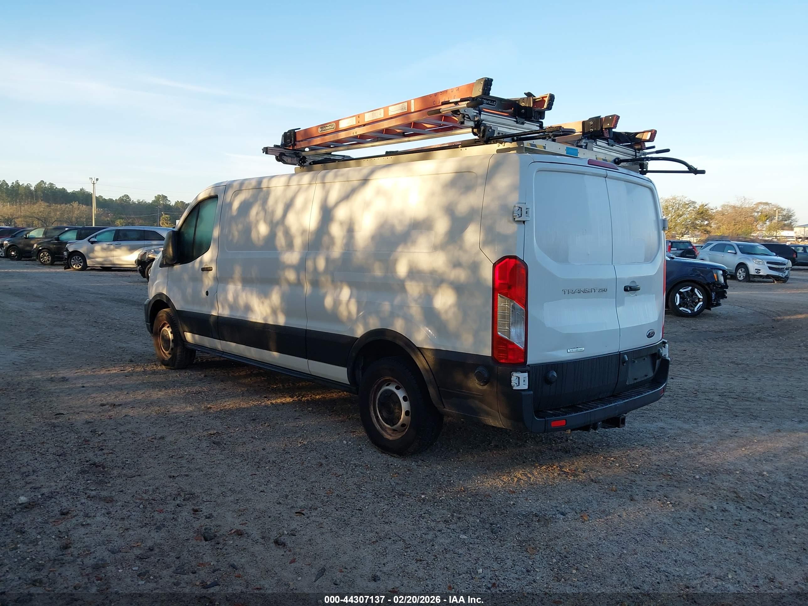 FORD TRANSIT-250 image 3