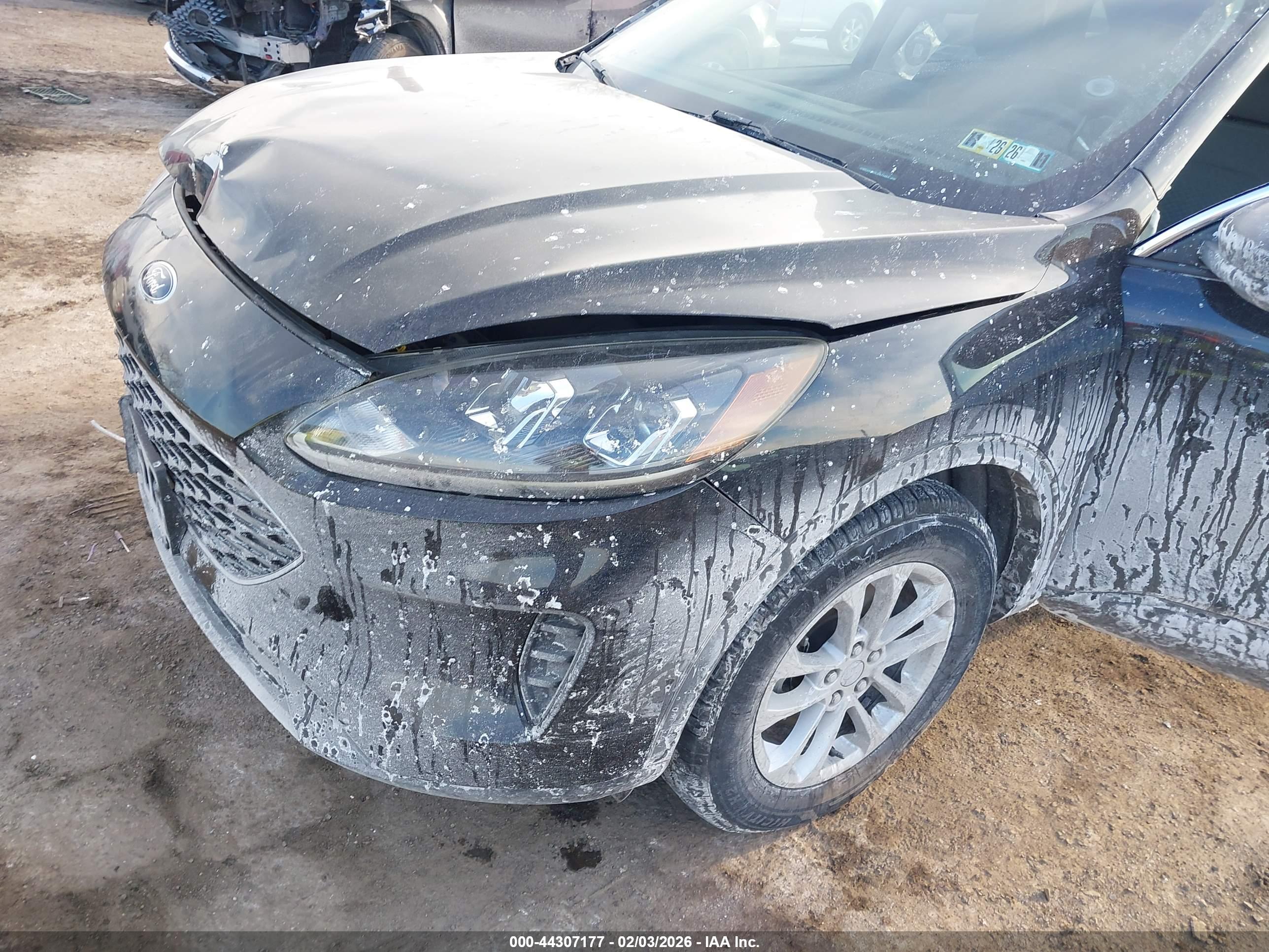 FORD ESCAPE image 6