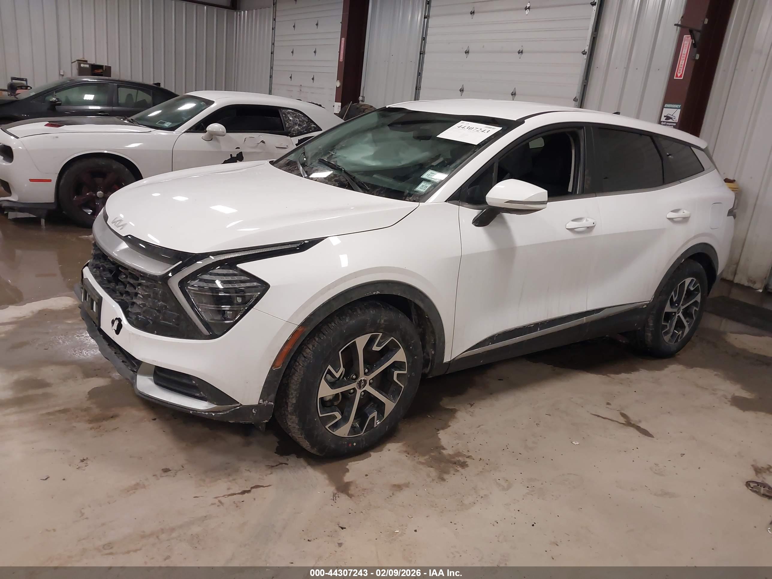 KIA SPORTAGE image 2