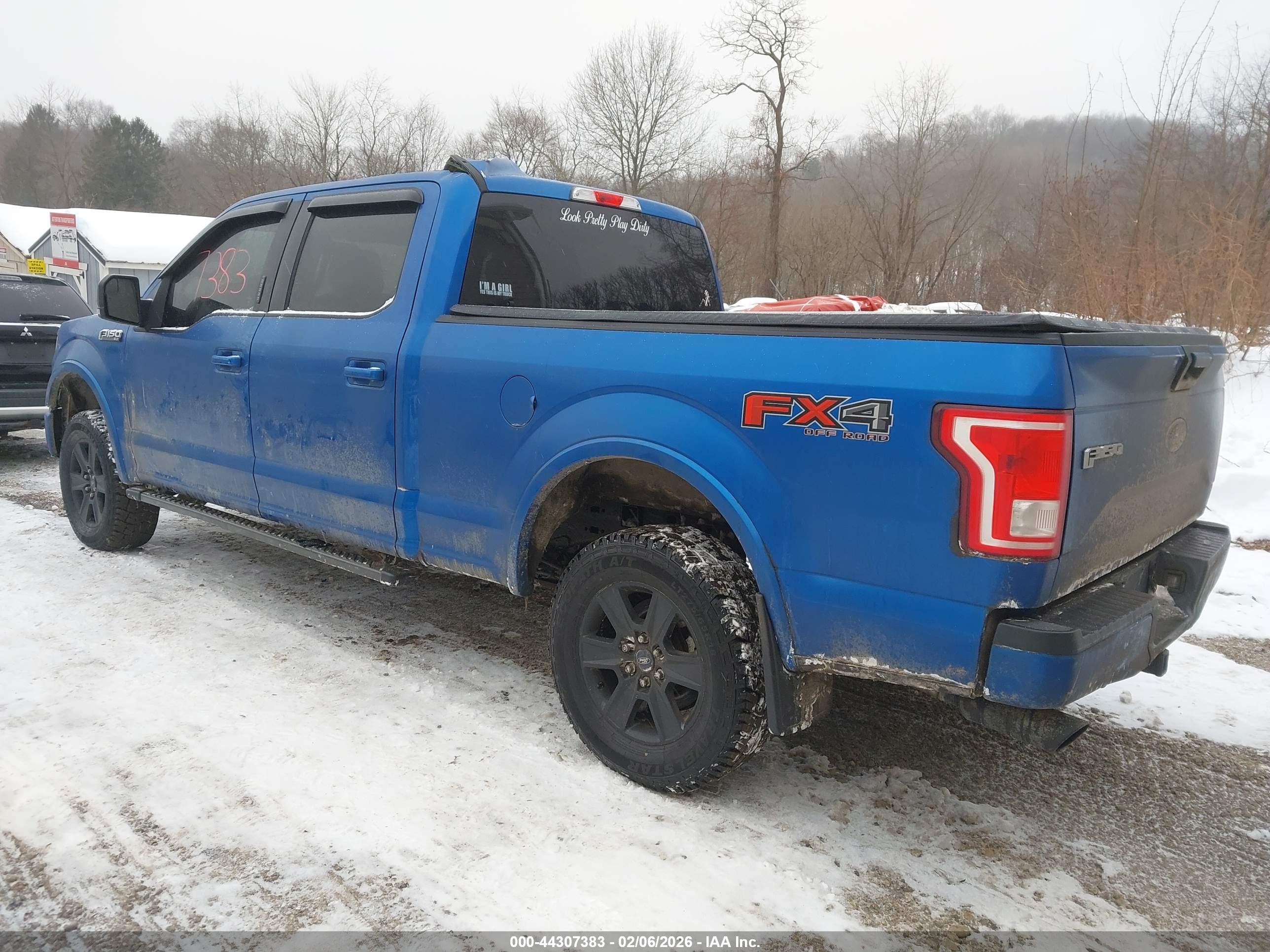 FORD F-150 image 3