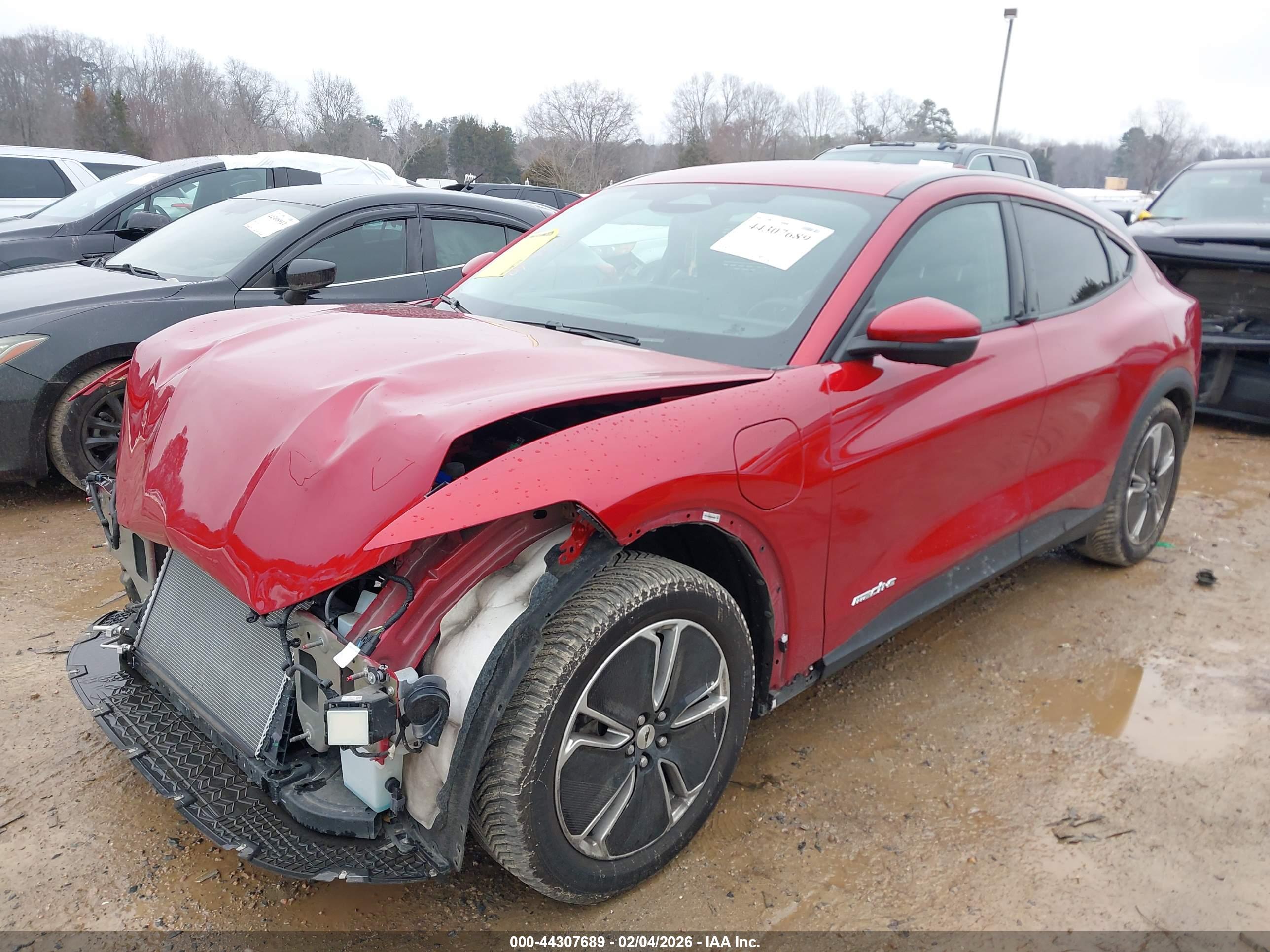 FORD MUSTANG image 2