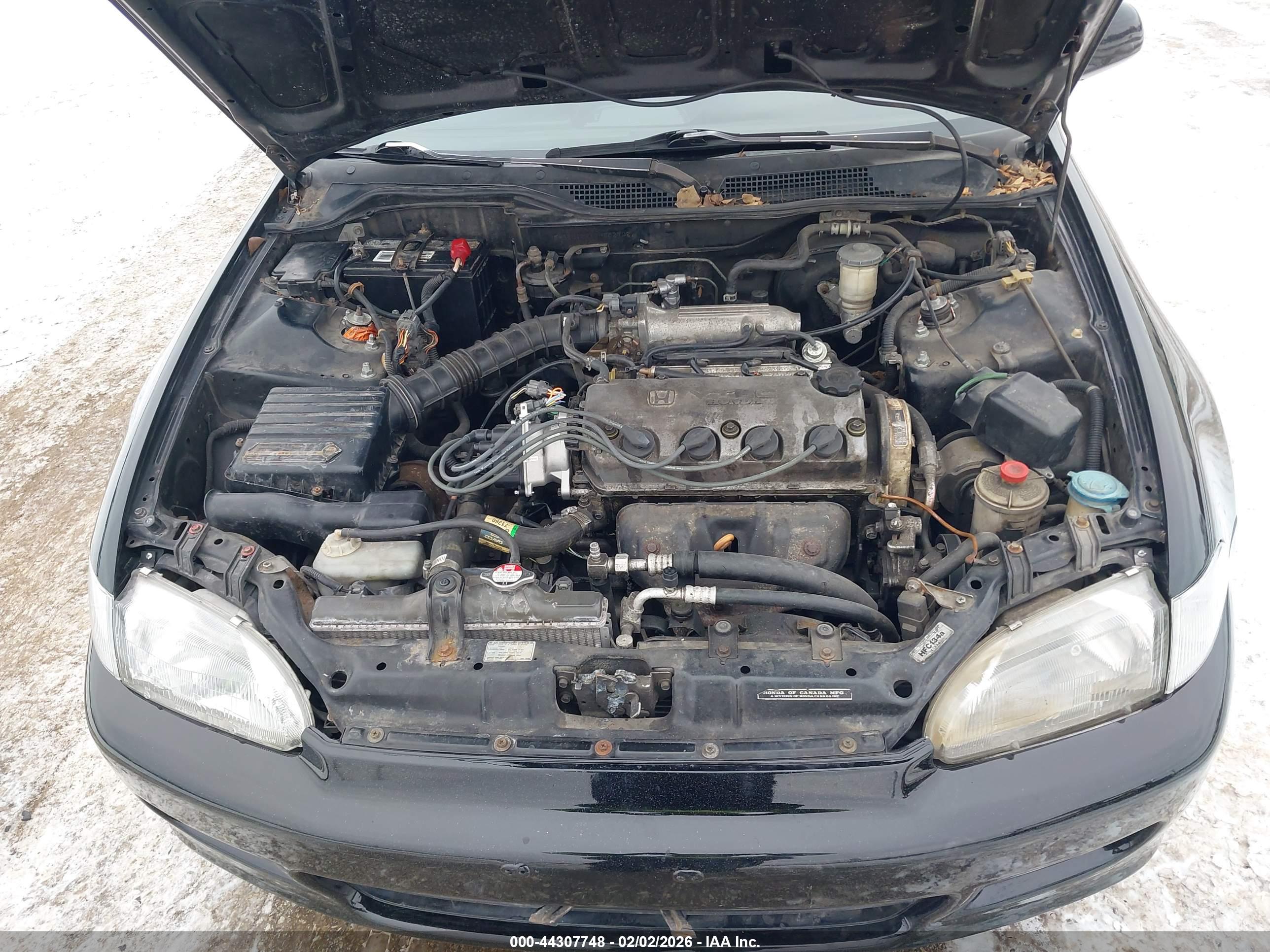 HONDA CIVIC image 10