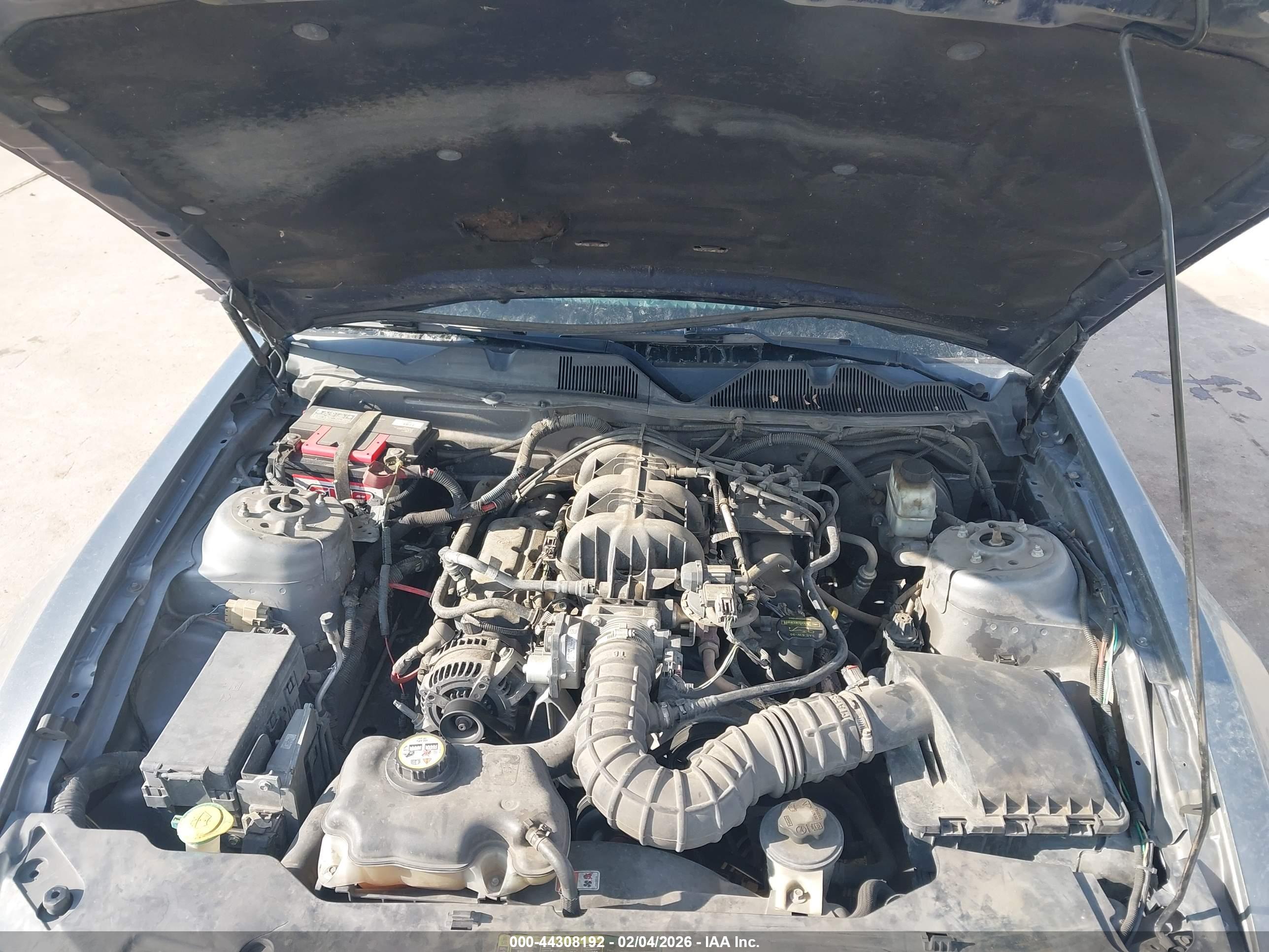 FORD MUSTANG image 10