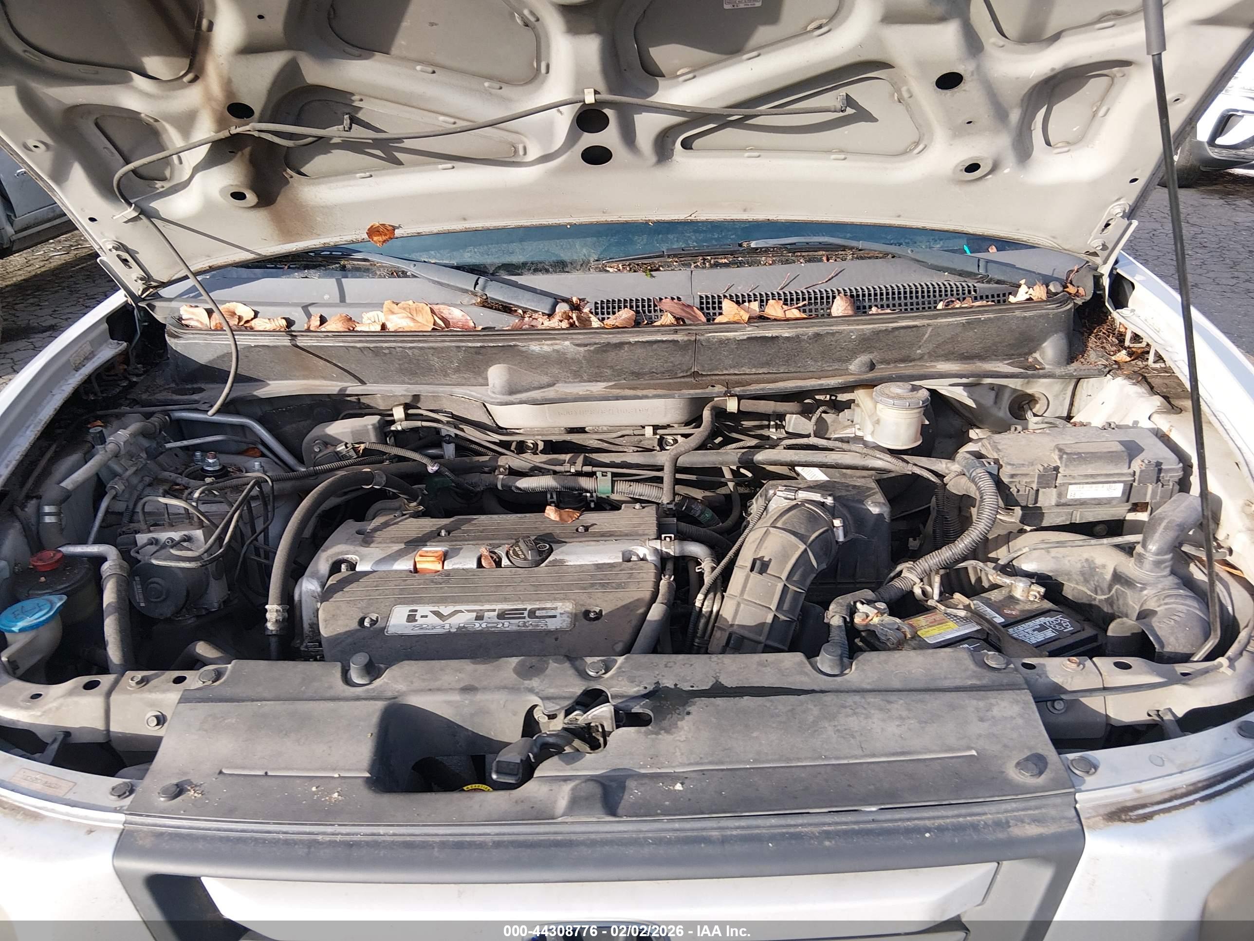 HONDA ELEMENT image 10