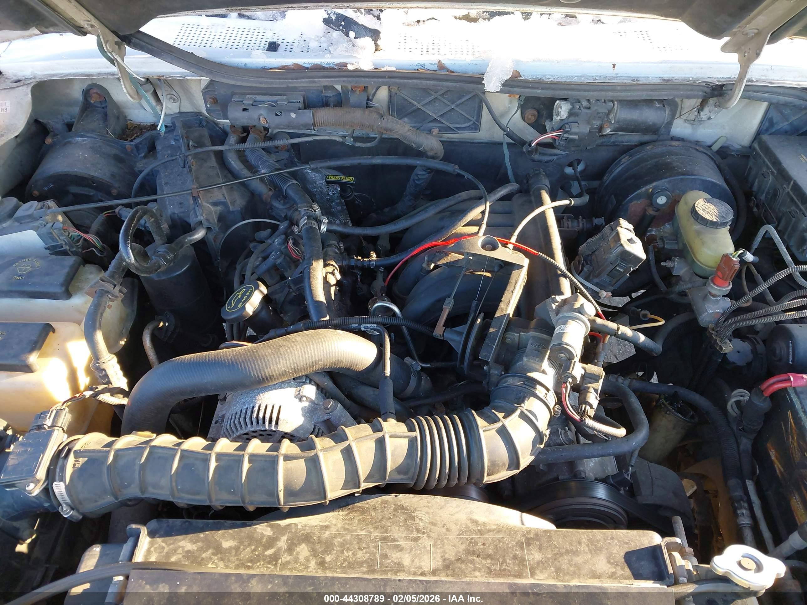 FORD RANGER image 10