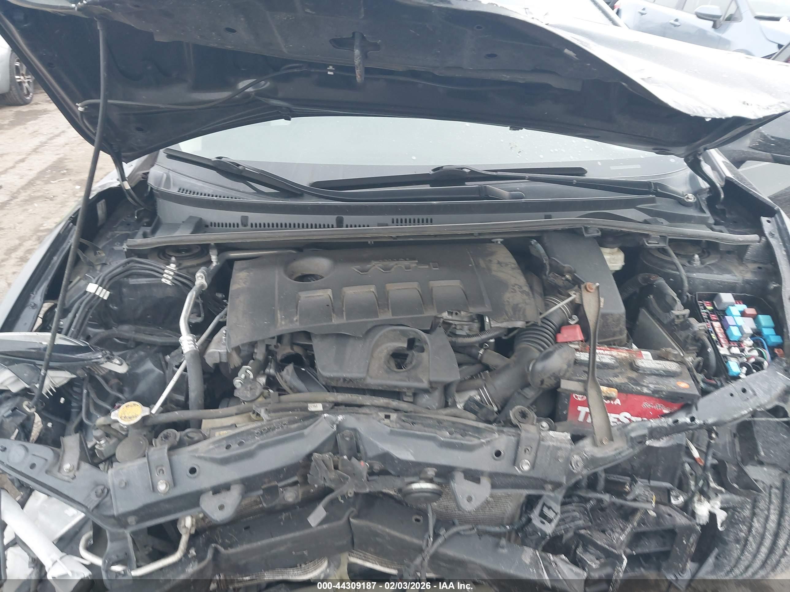 TOYOTA COROLLA image 10