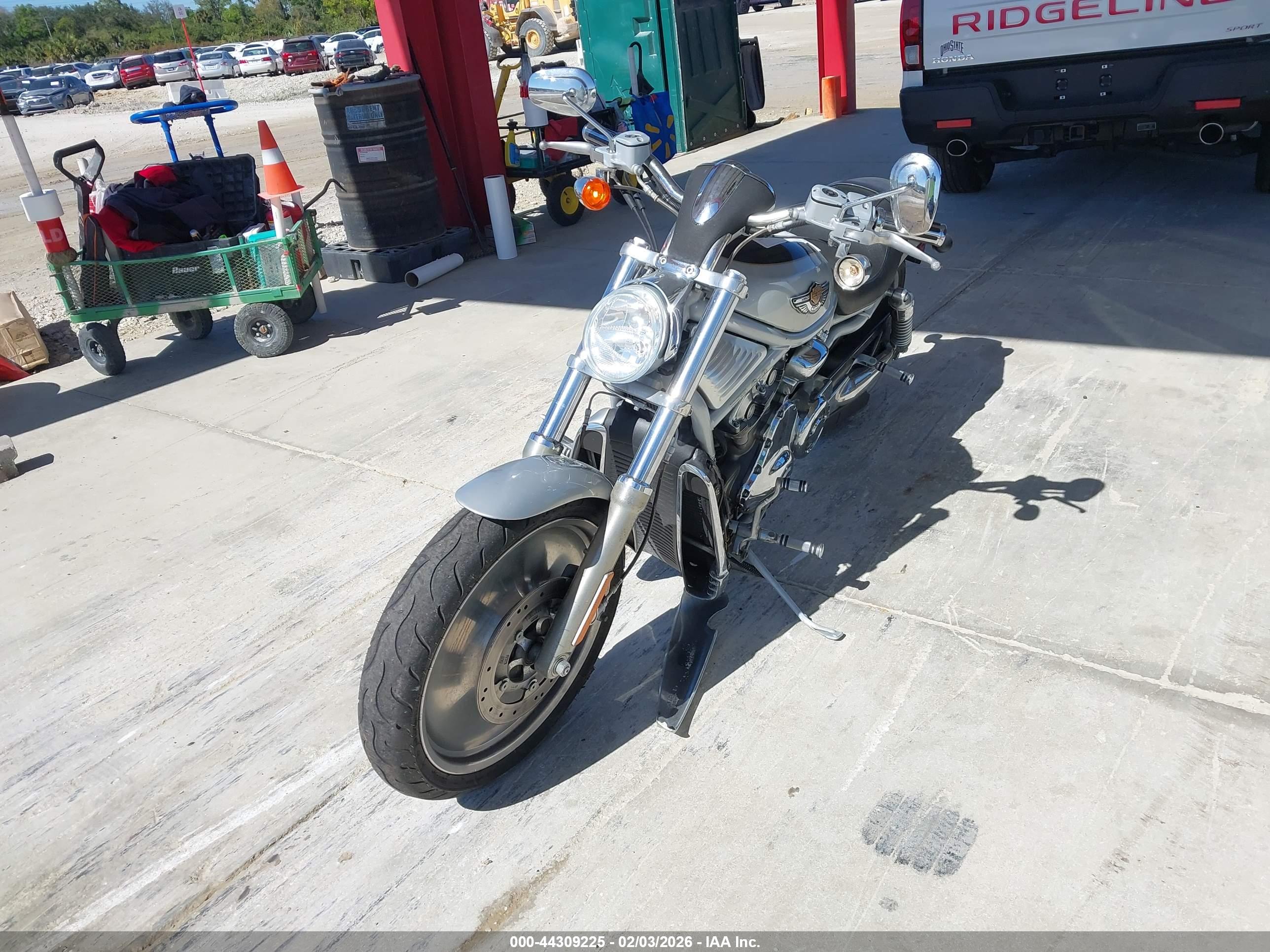 HARLEY-DAVIDSON VRSCA image 2