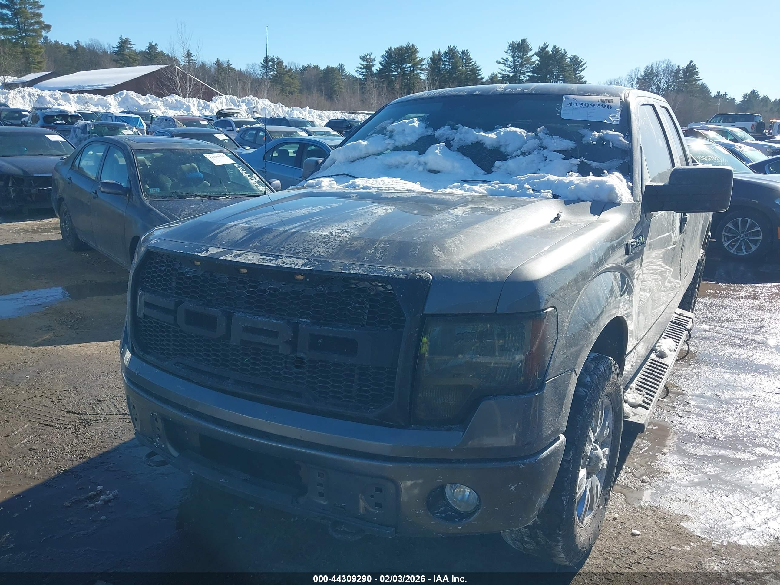 FORD F-150 image 2