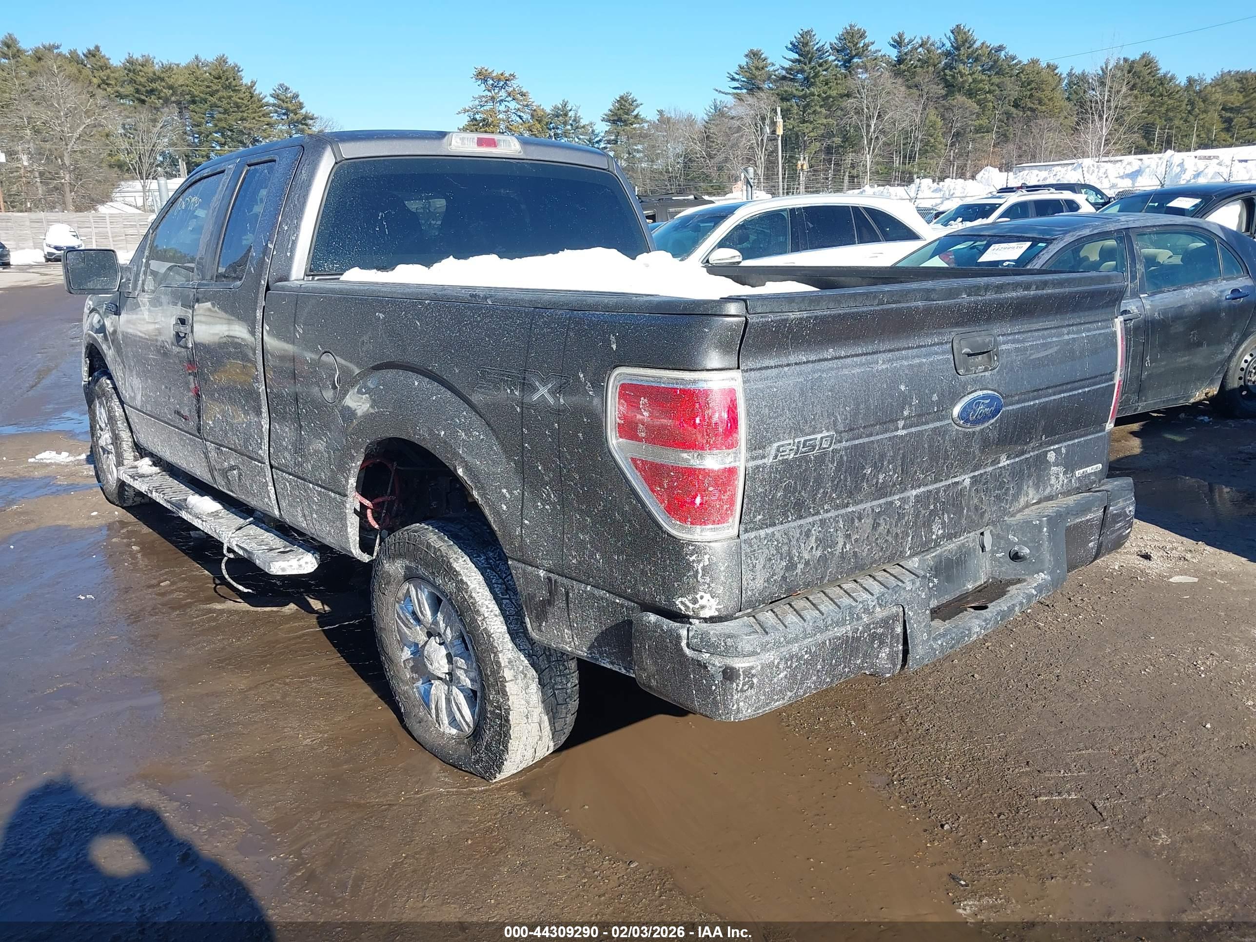 FORD F-150 image 3