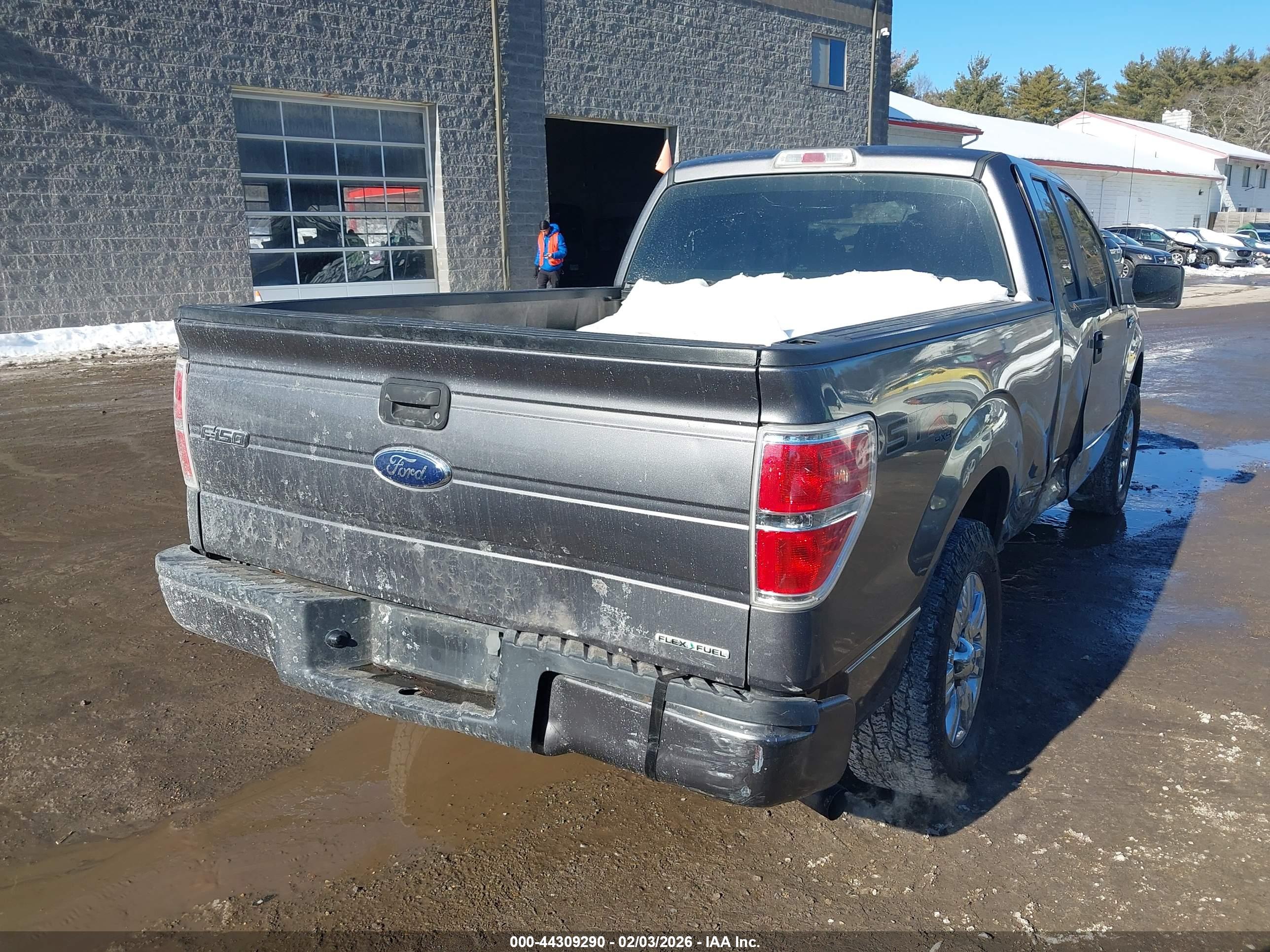 FORD F-150 image 4