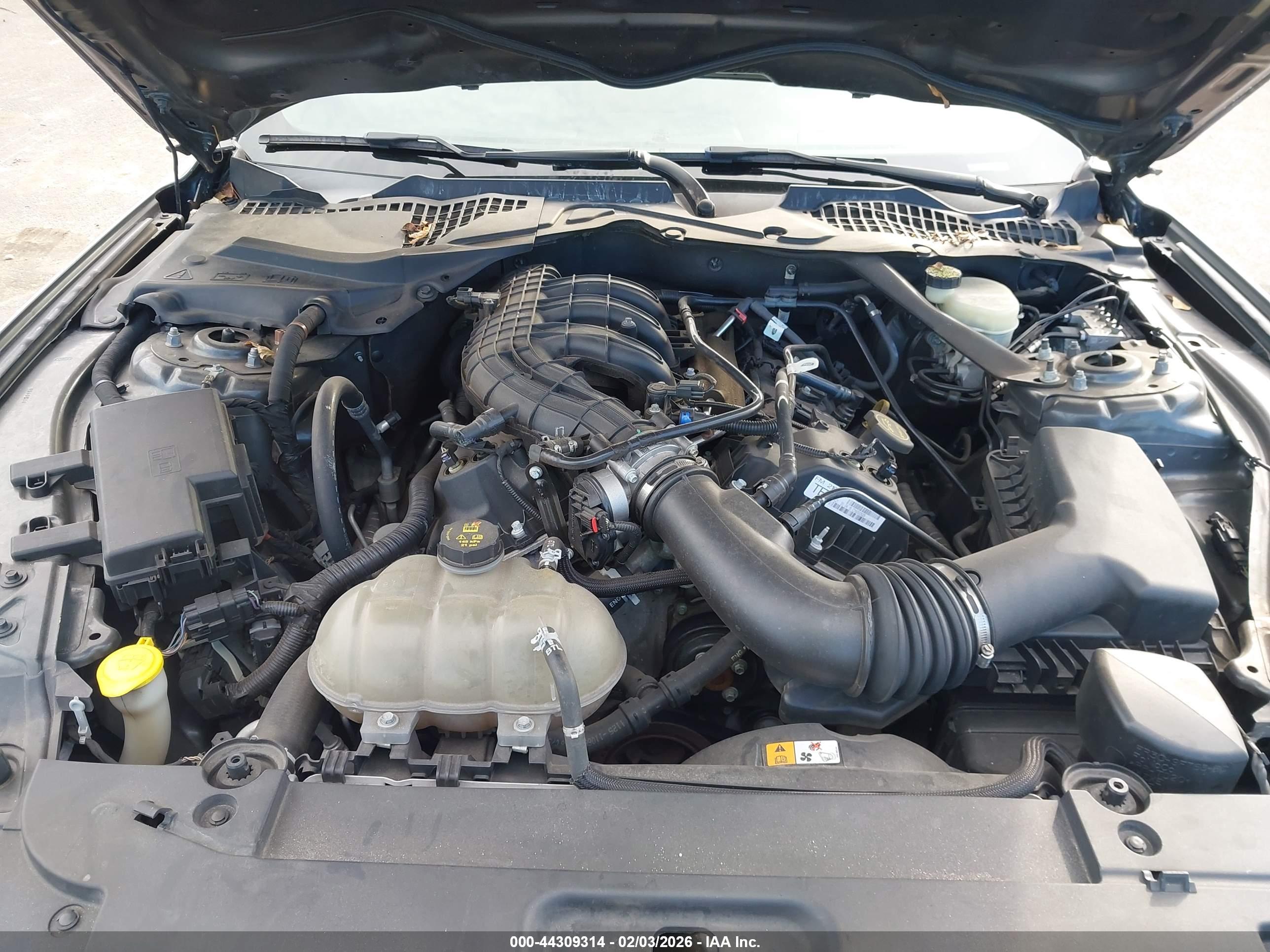 FORD MUSTANG image 10