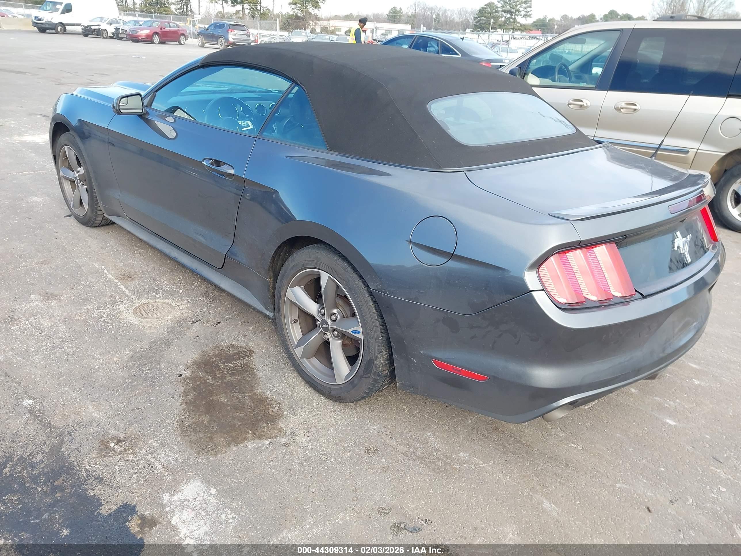 FORD MUSTANG image 3