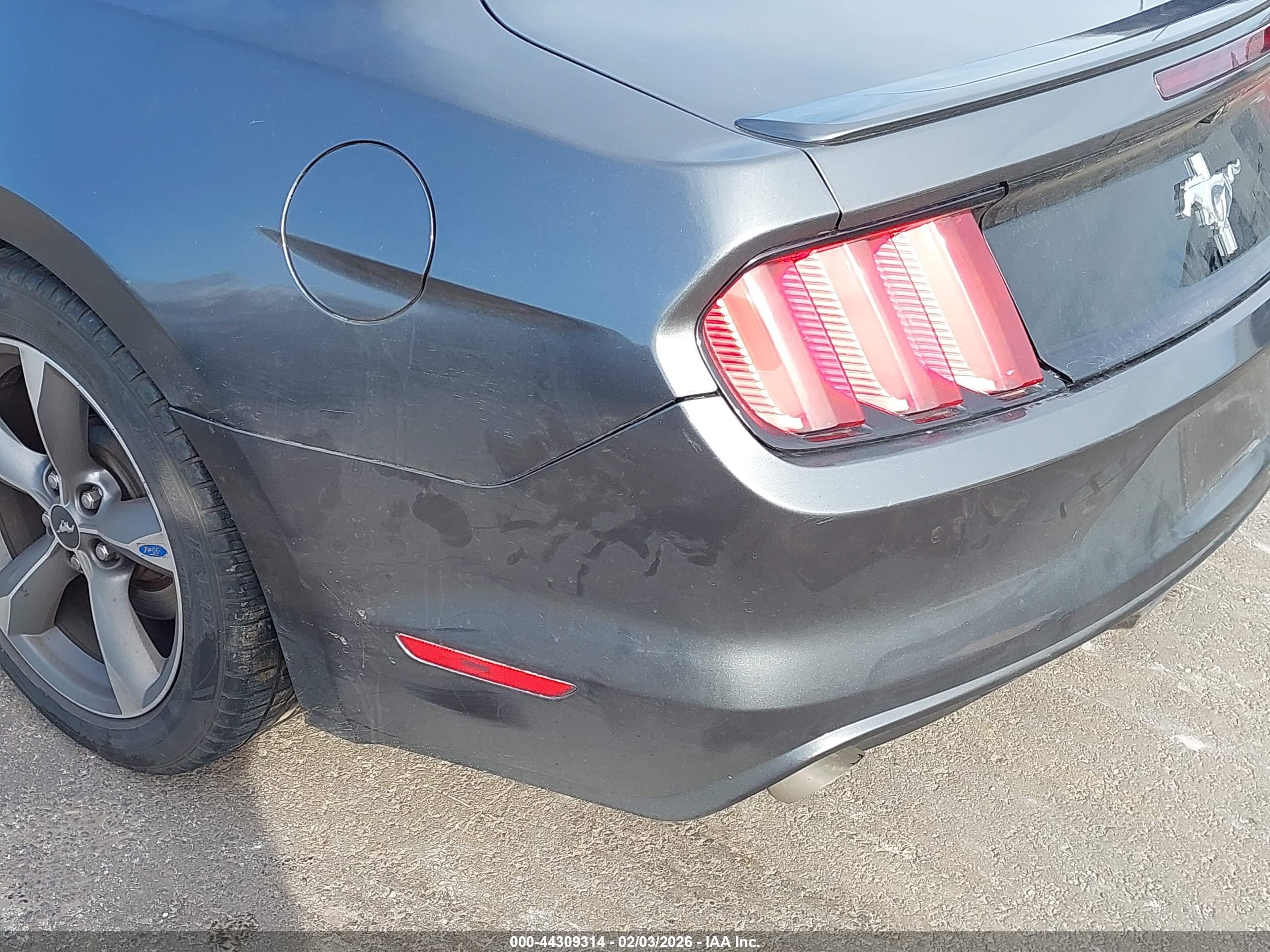 FORD MUSTANG image 6