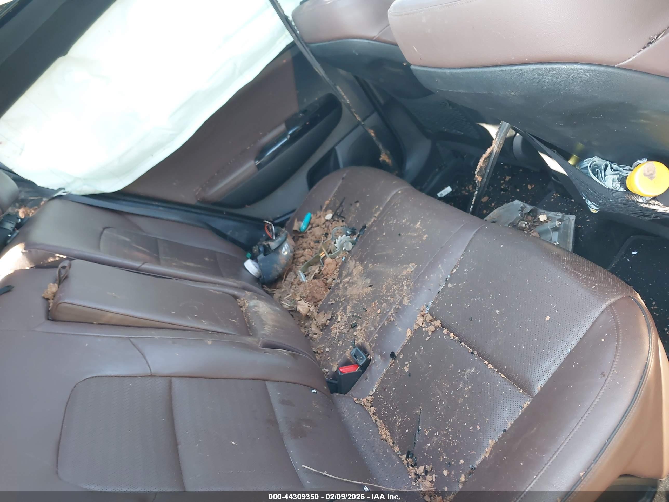 KIA SPORTAGE image 8