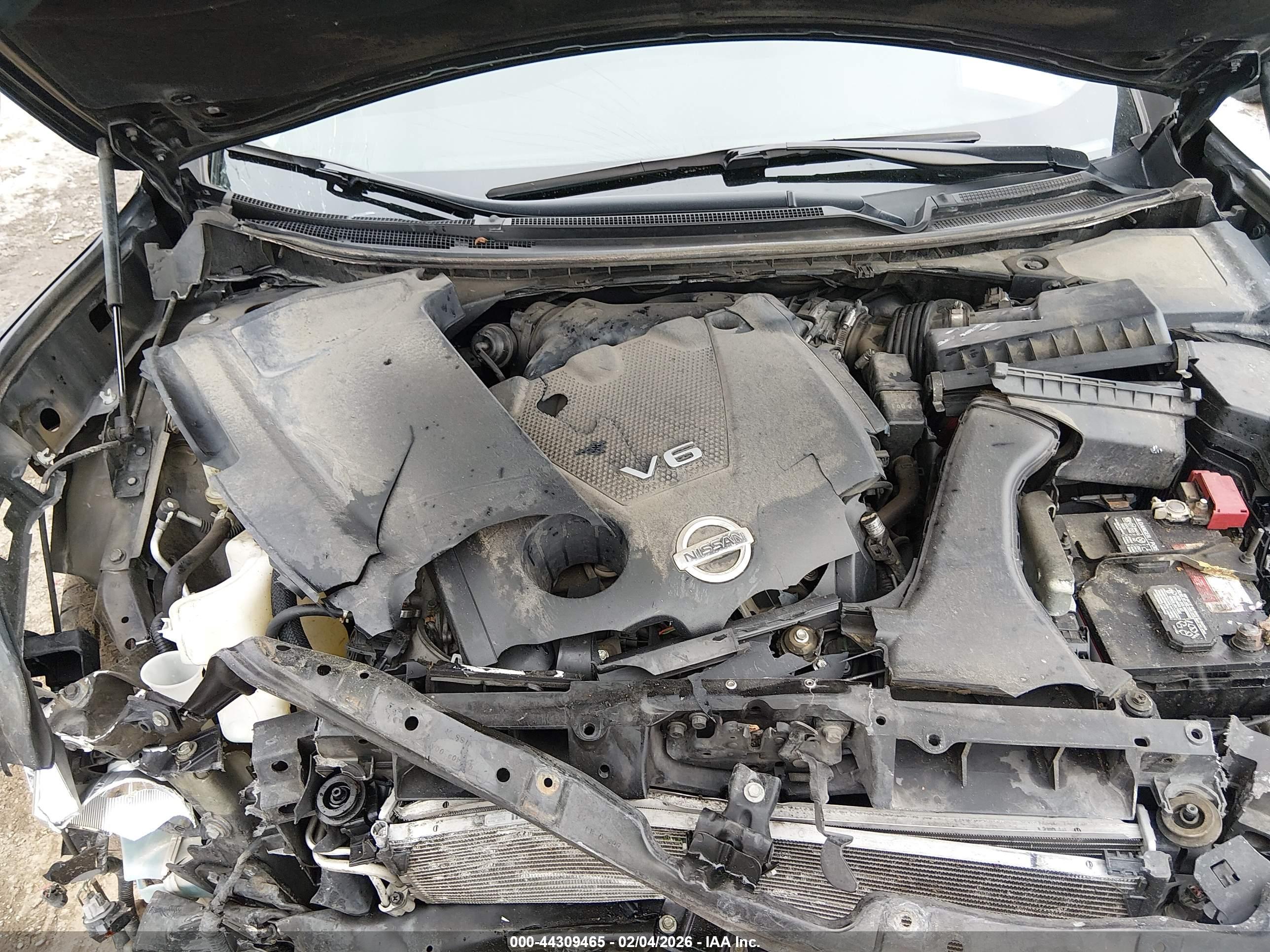 NISSAN MAXIMA image 10