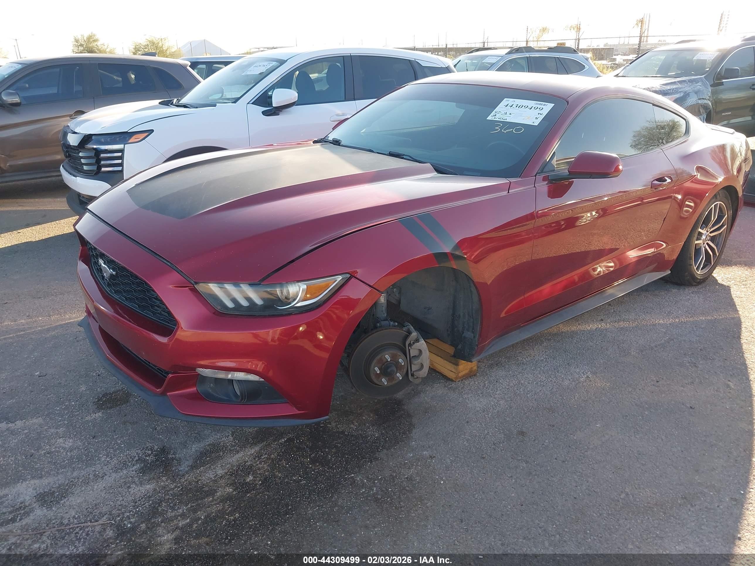 FORD MUSTANG image 2