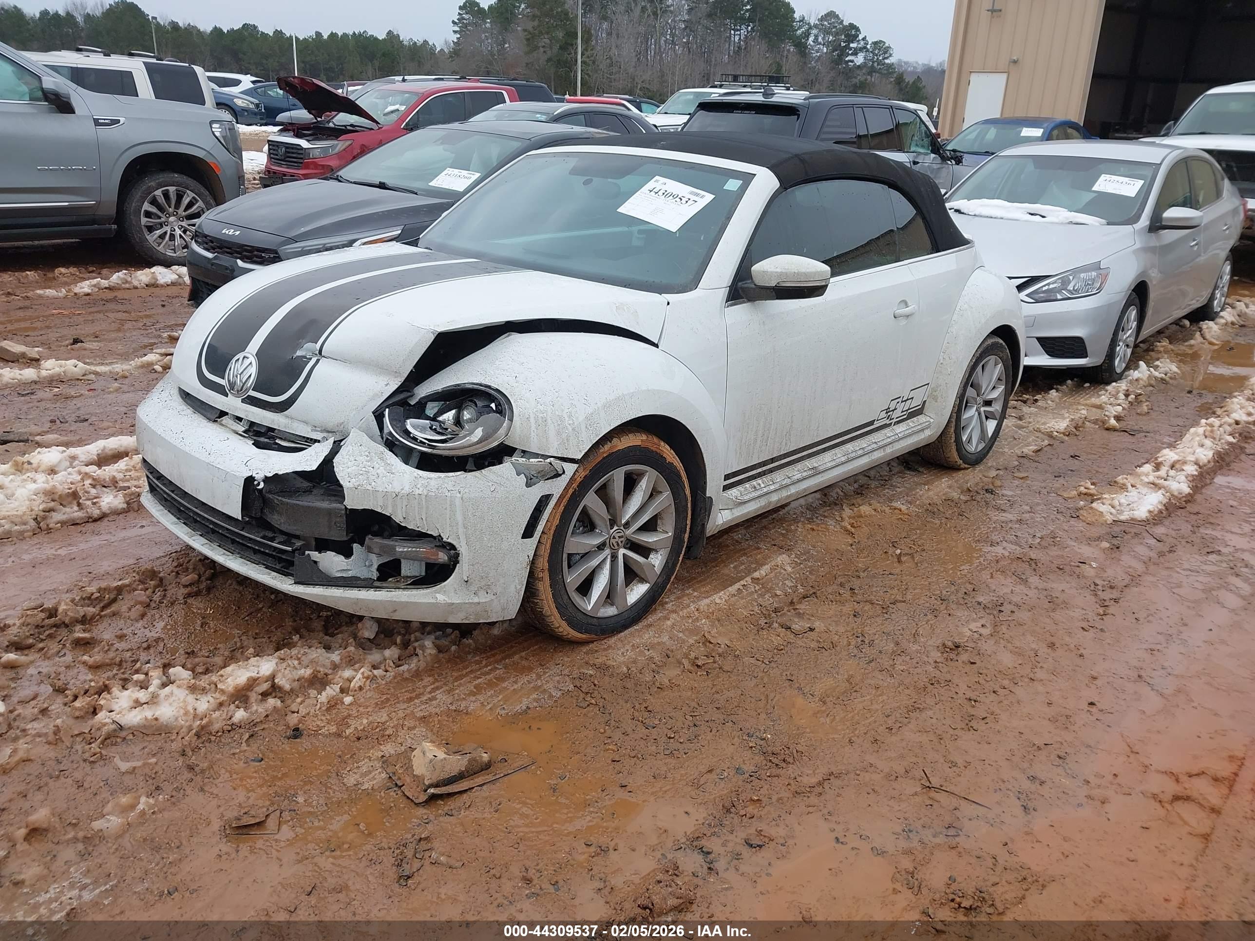 VOLKSWAGEN BEETLE image 2