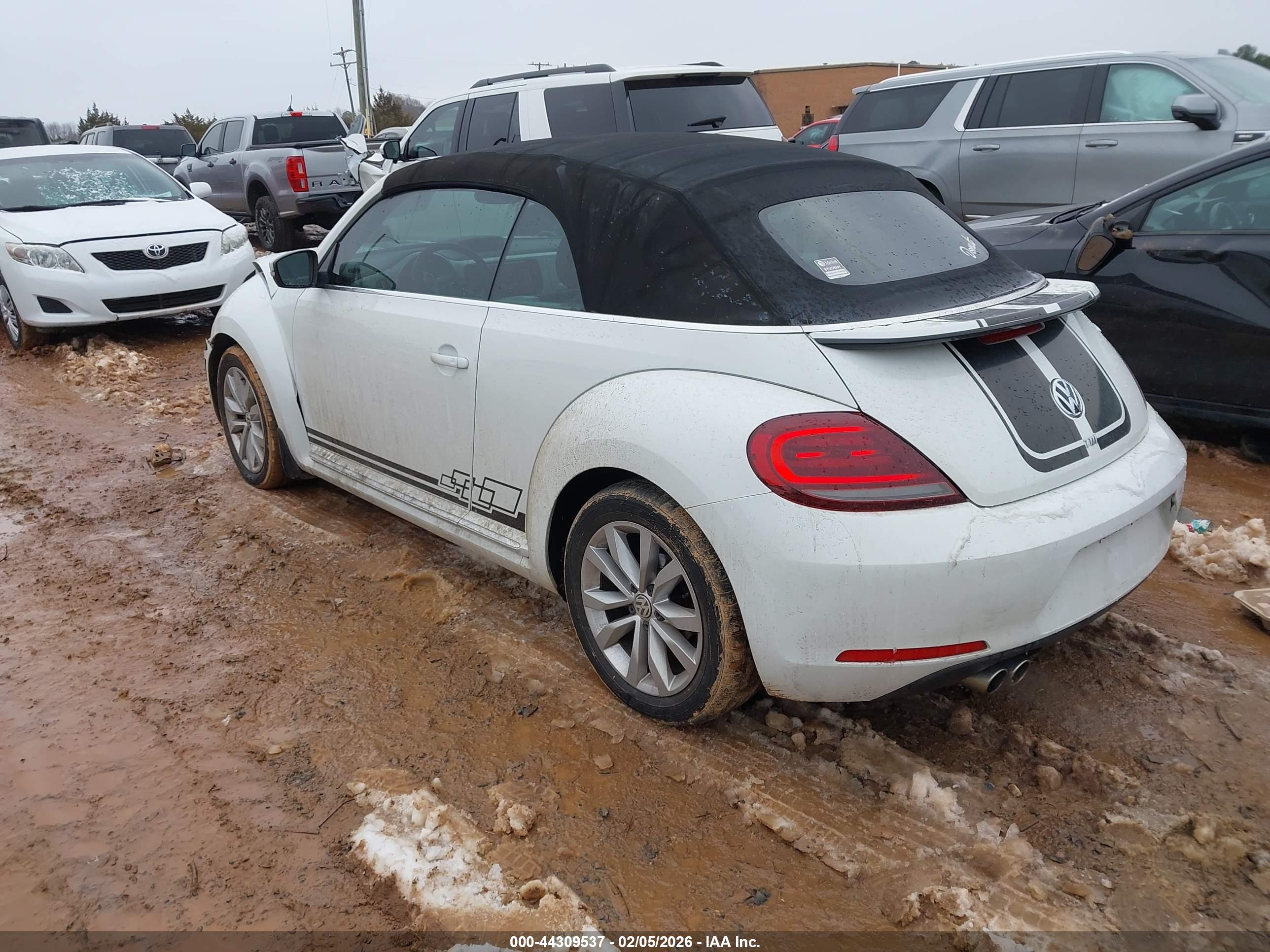 VOLKSWAGEN BEETLE image 3